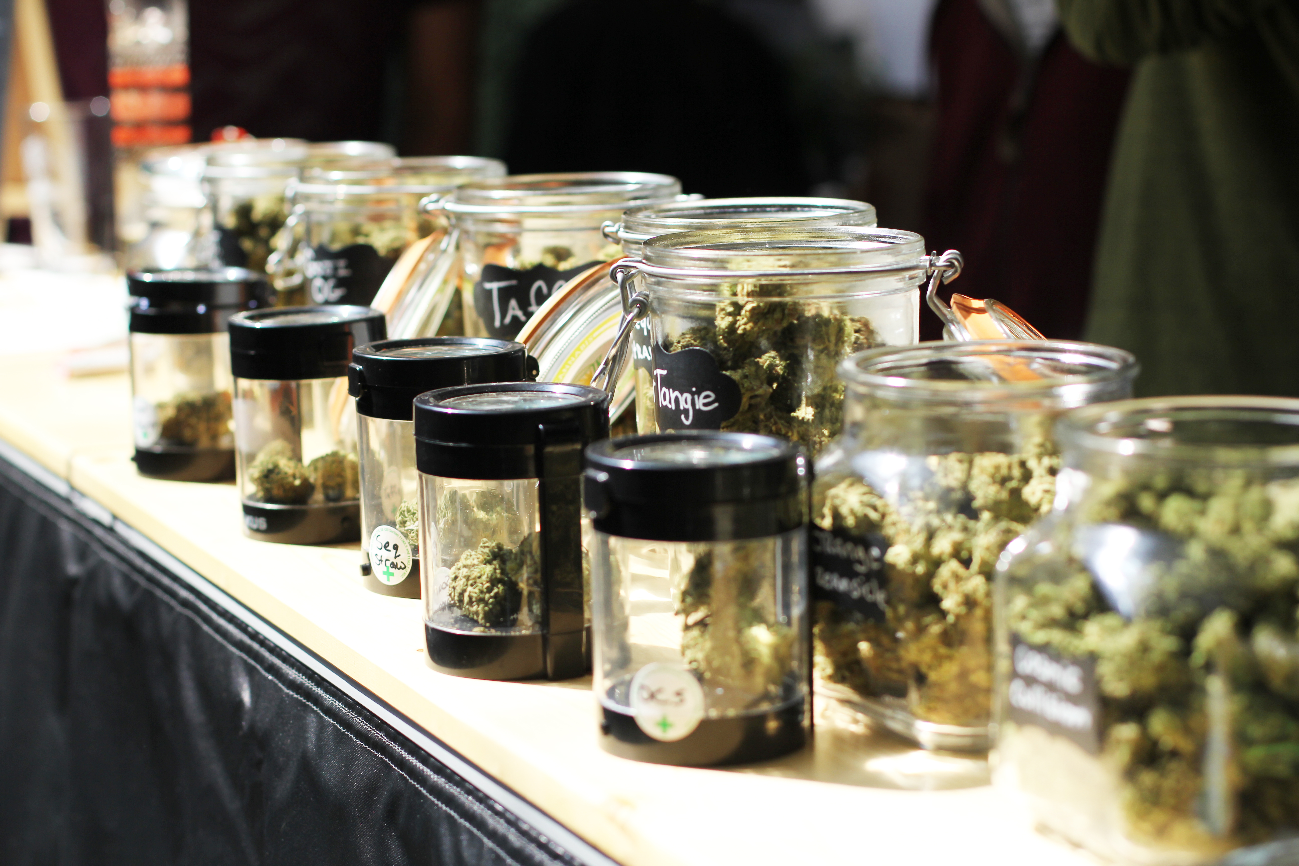 Cannifest Manifests Happiness