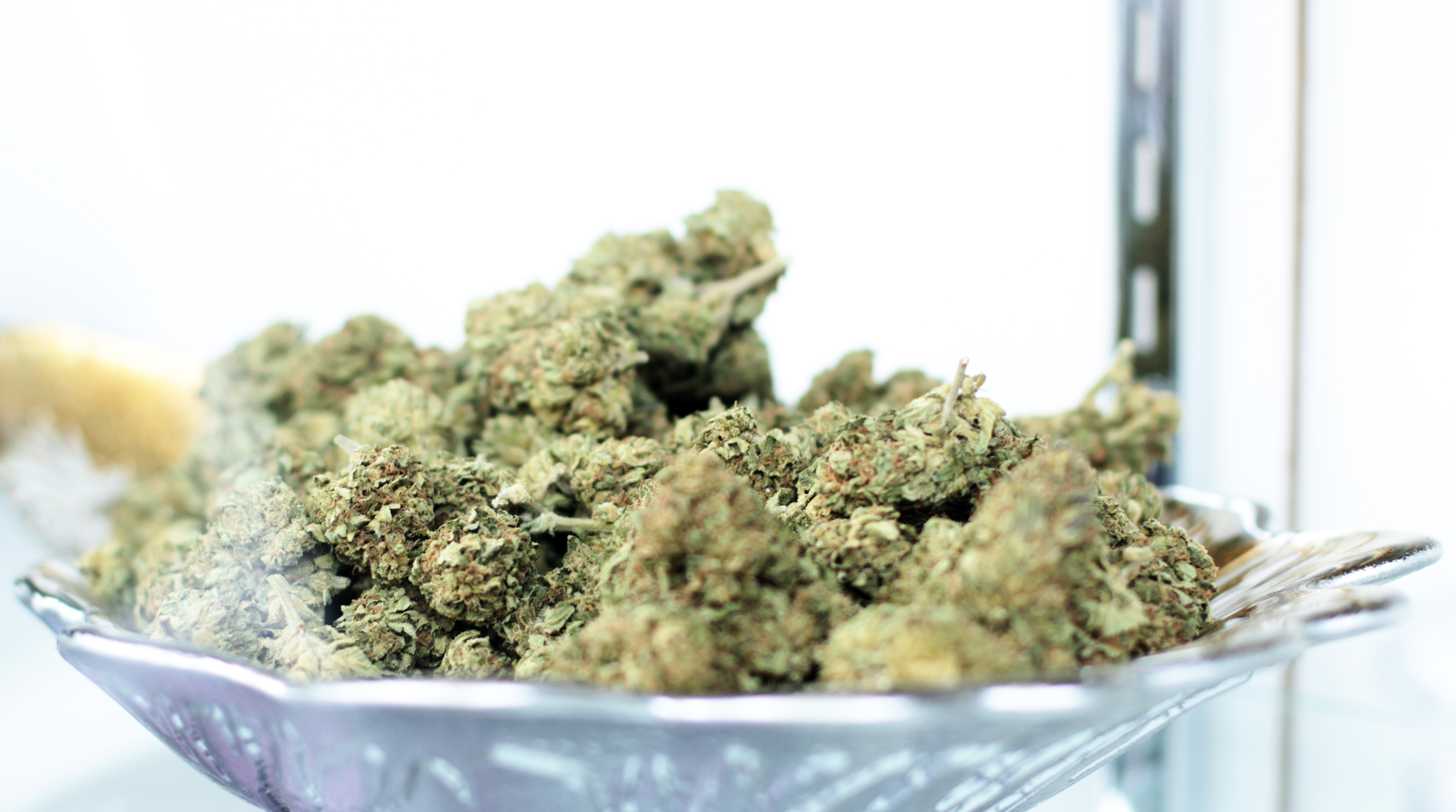 The green is looking grey