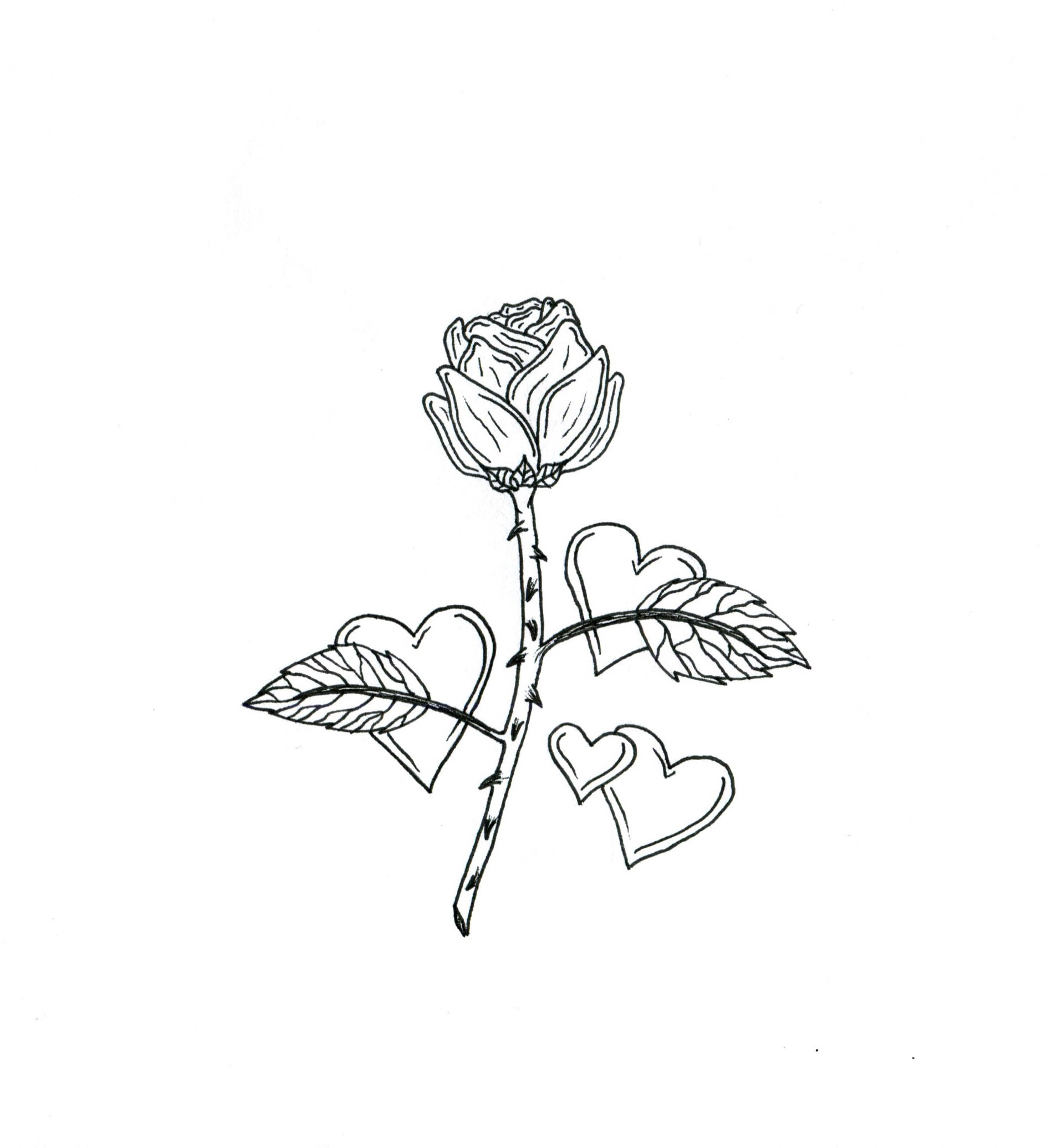 Love is in the brain