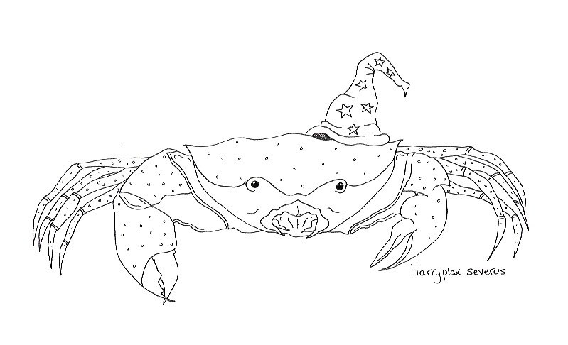 This week in science (Feb. 15 – Feb. 22)