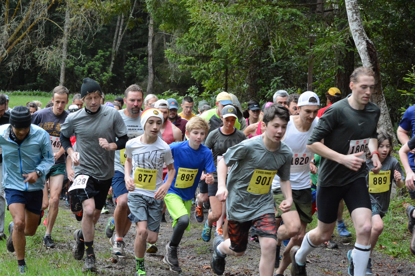Slippery slopes at the Arcata Community Forest Run