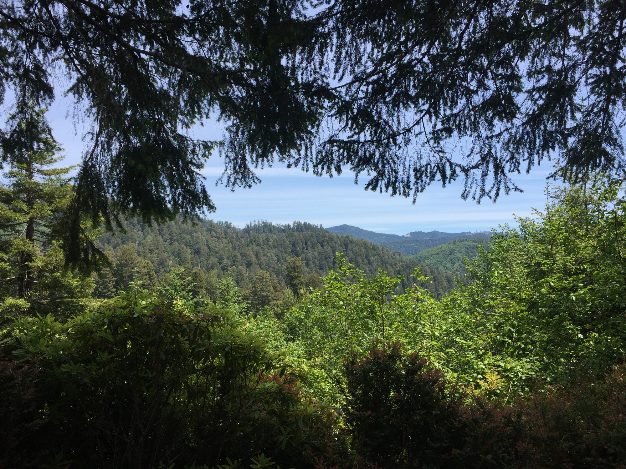 Benefits of being outside