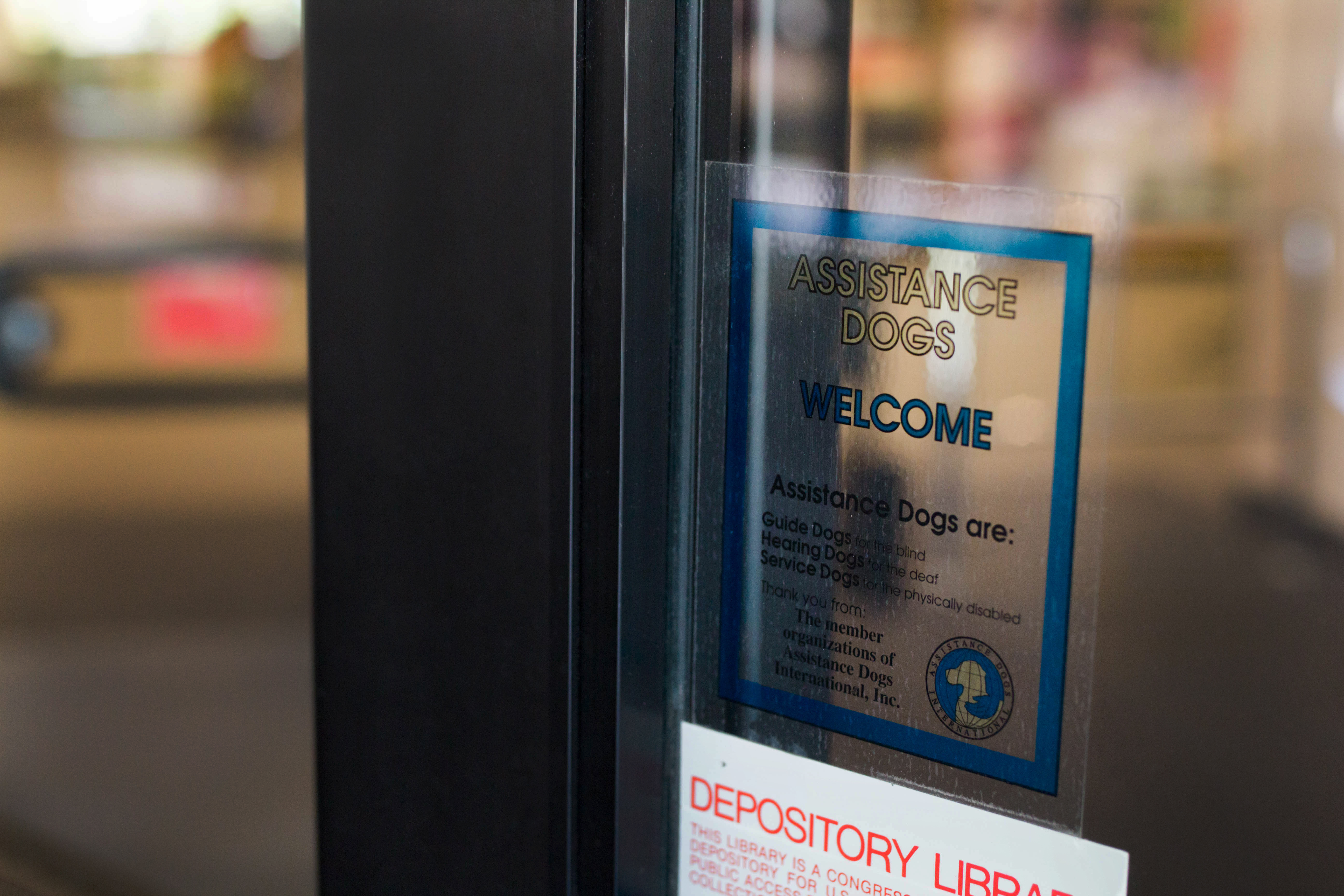 Put em’ in a cage they say!