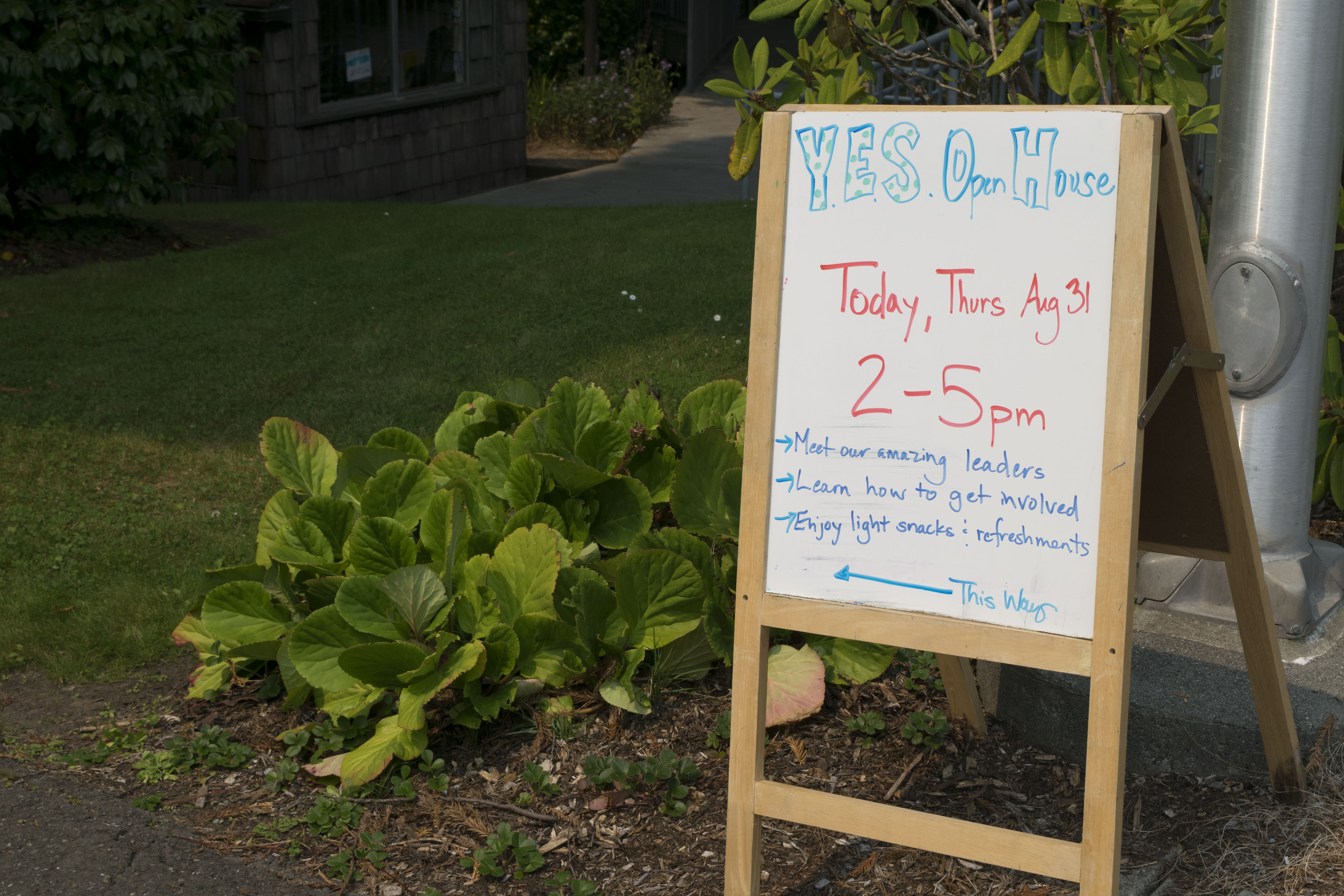 Yes! The Y.E.S. House is open