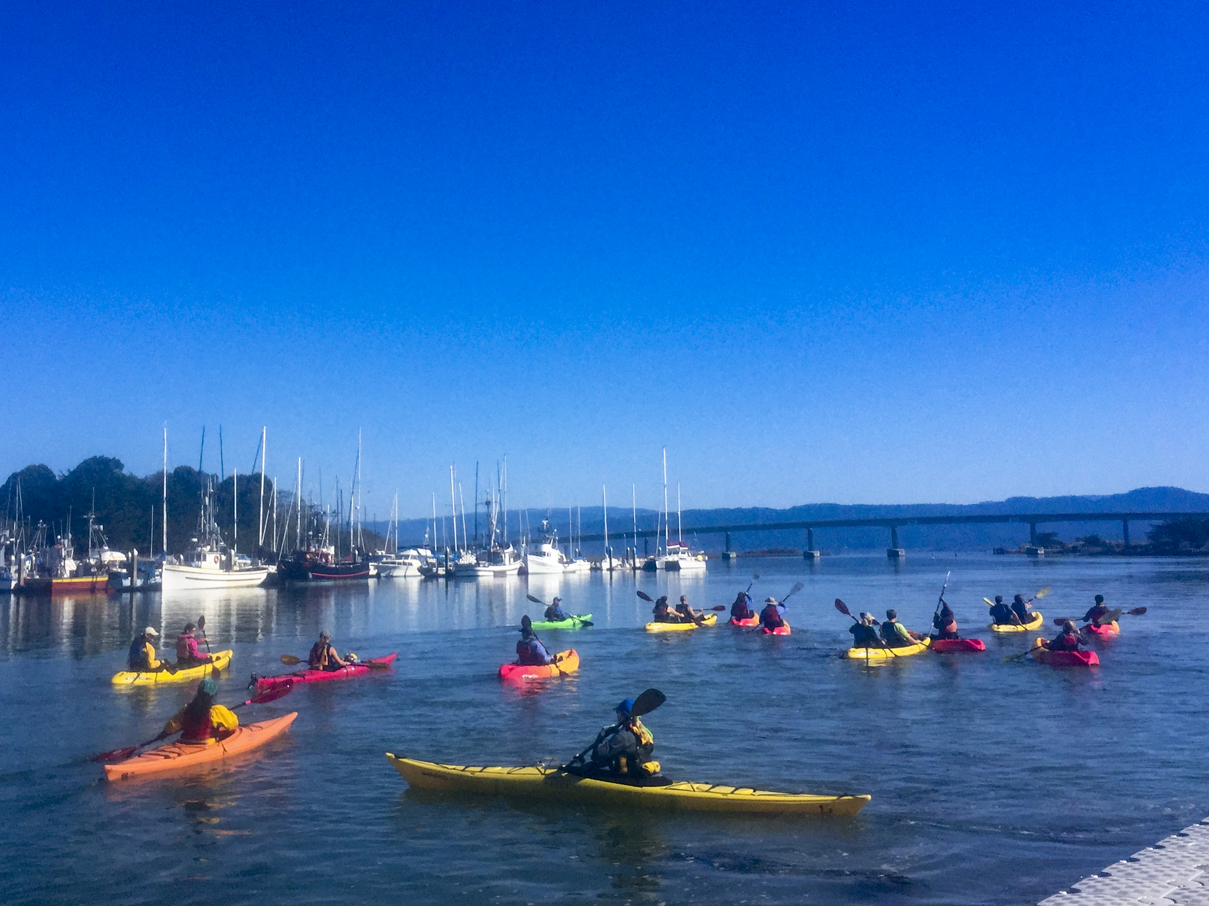 Homecoming Paddlefest
