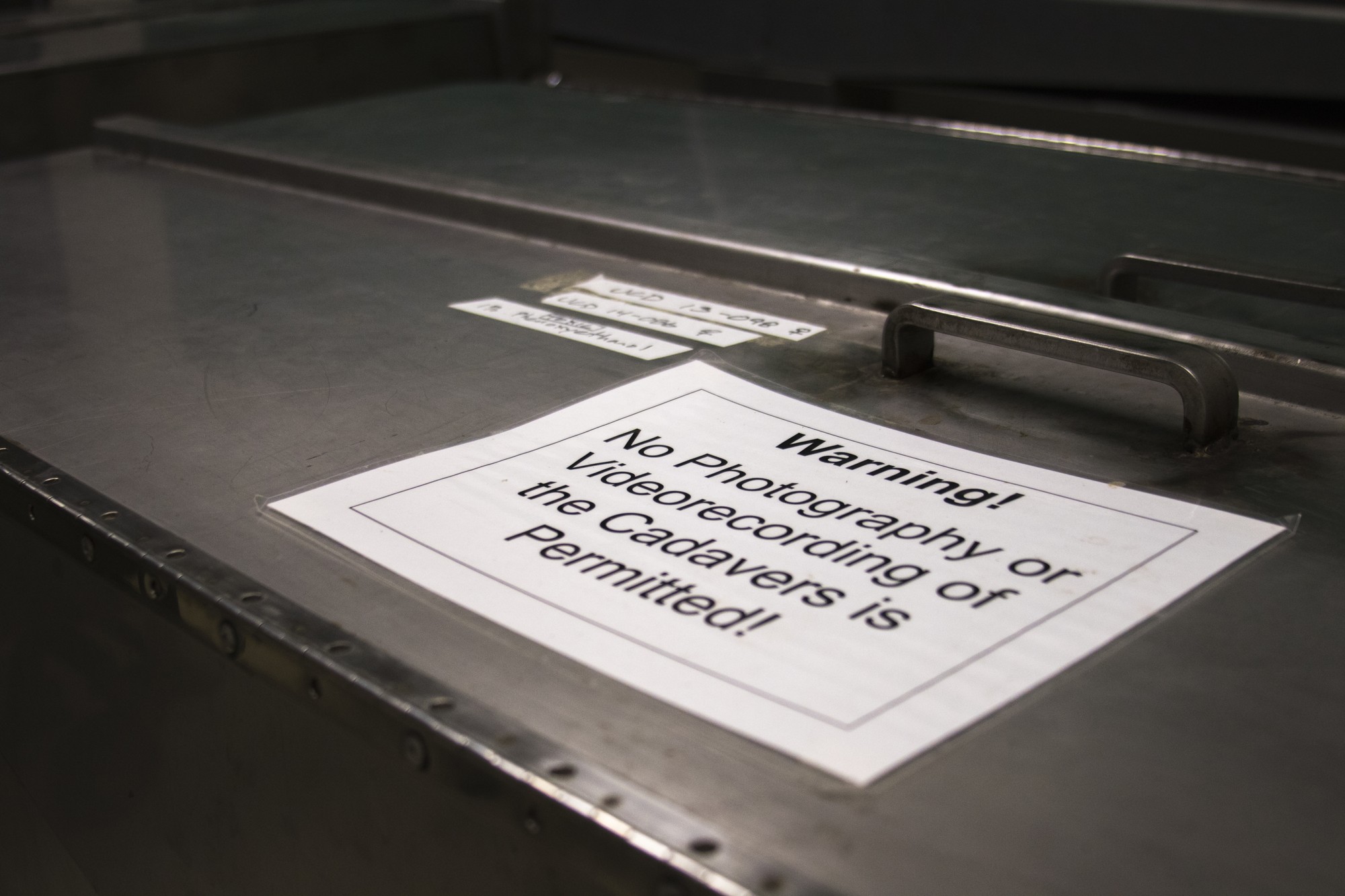 Let the deceased rest in peace