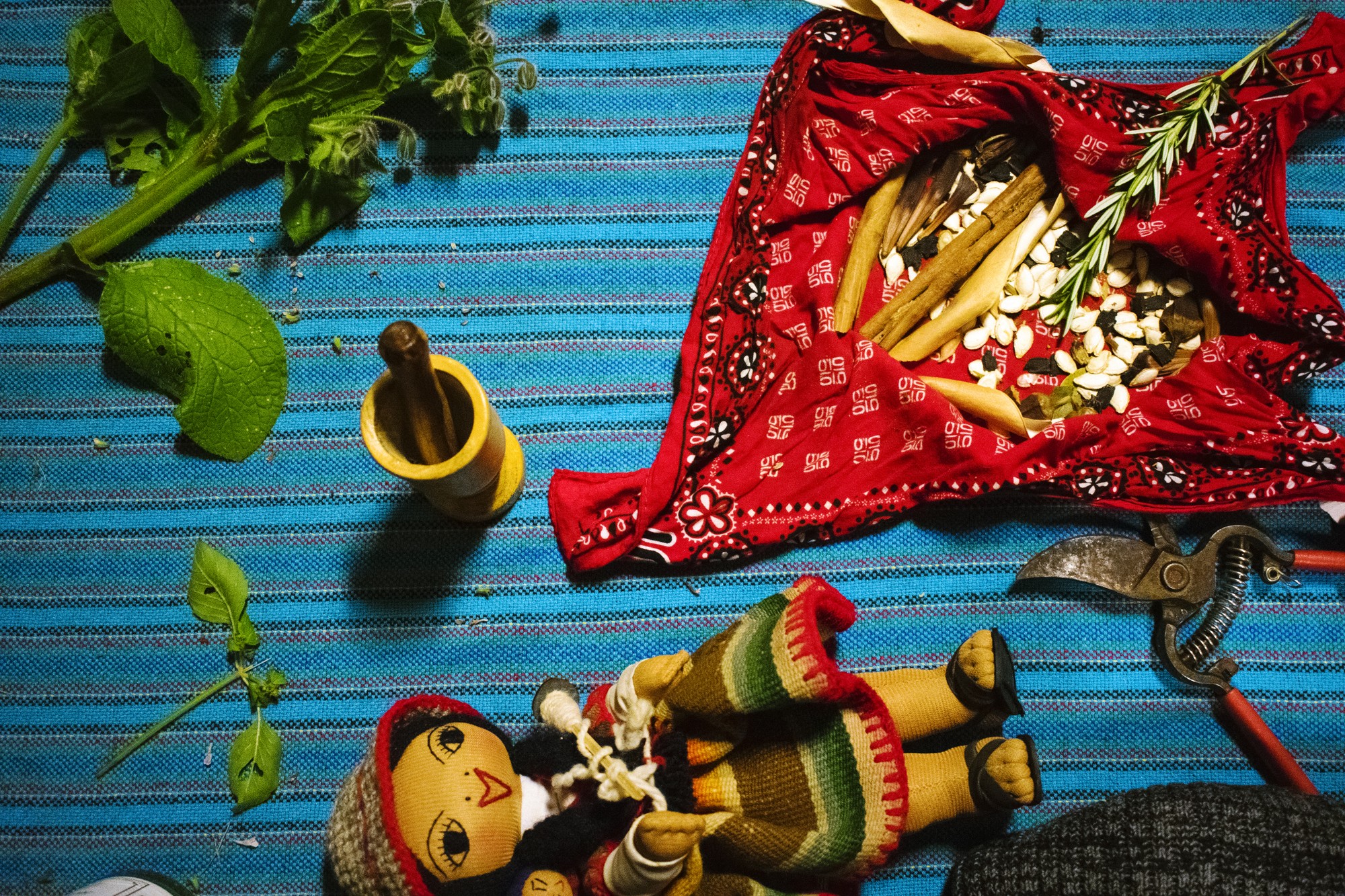 La Loba Loca vists CCAT