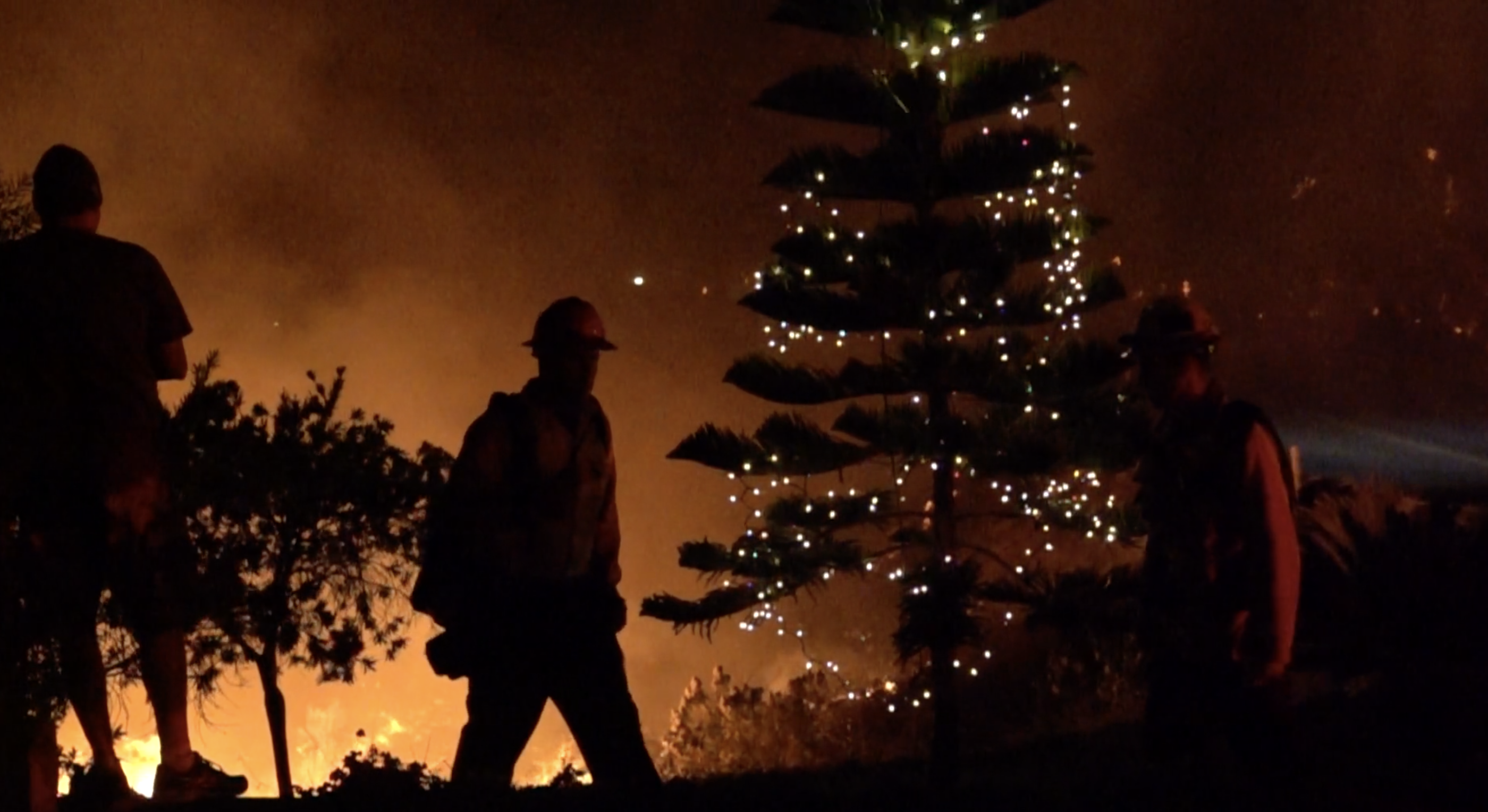 The Ventura Thomas fires