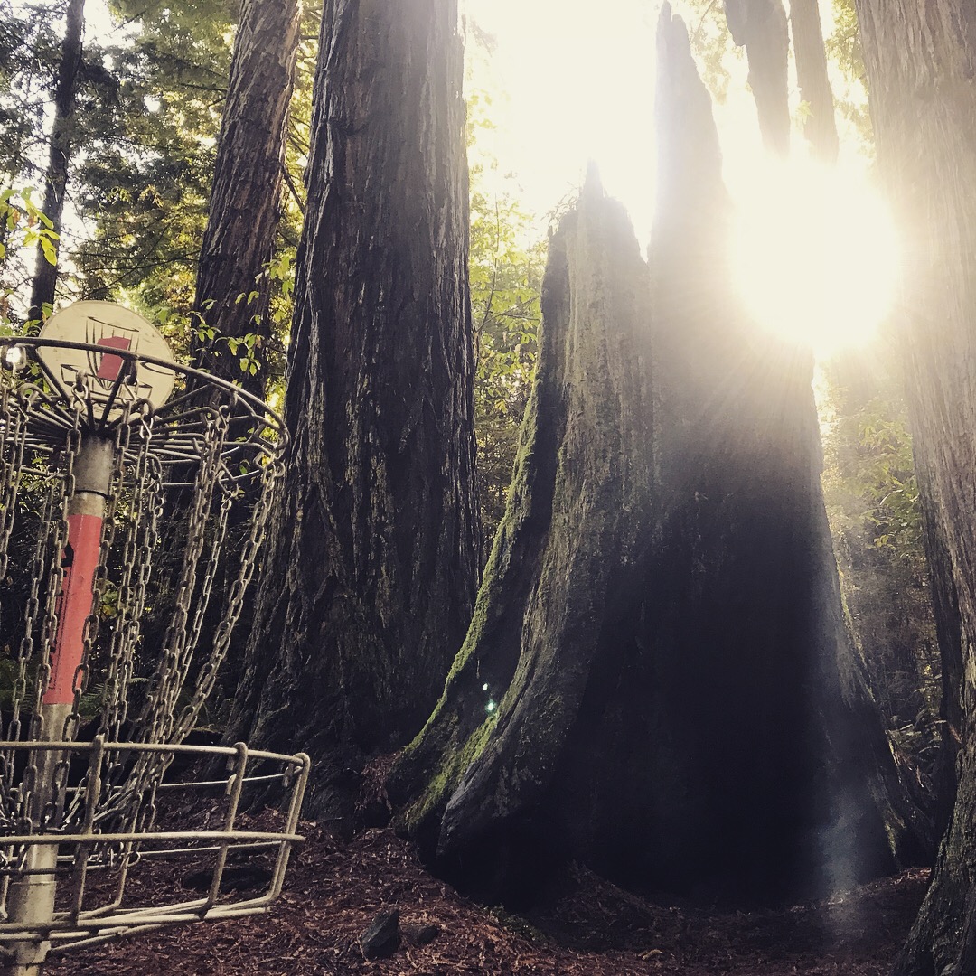 Redwood Curtain is a diamond in the rough