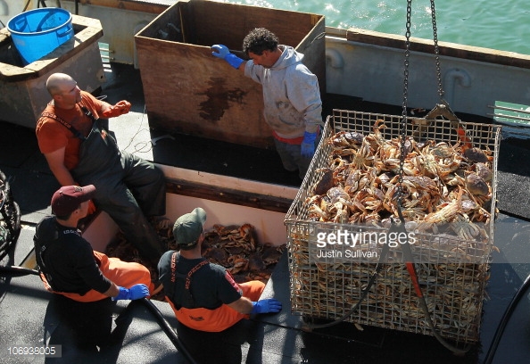 The North Coast Crab Fleet is geared up