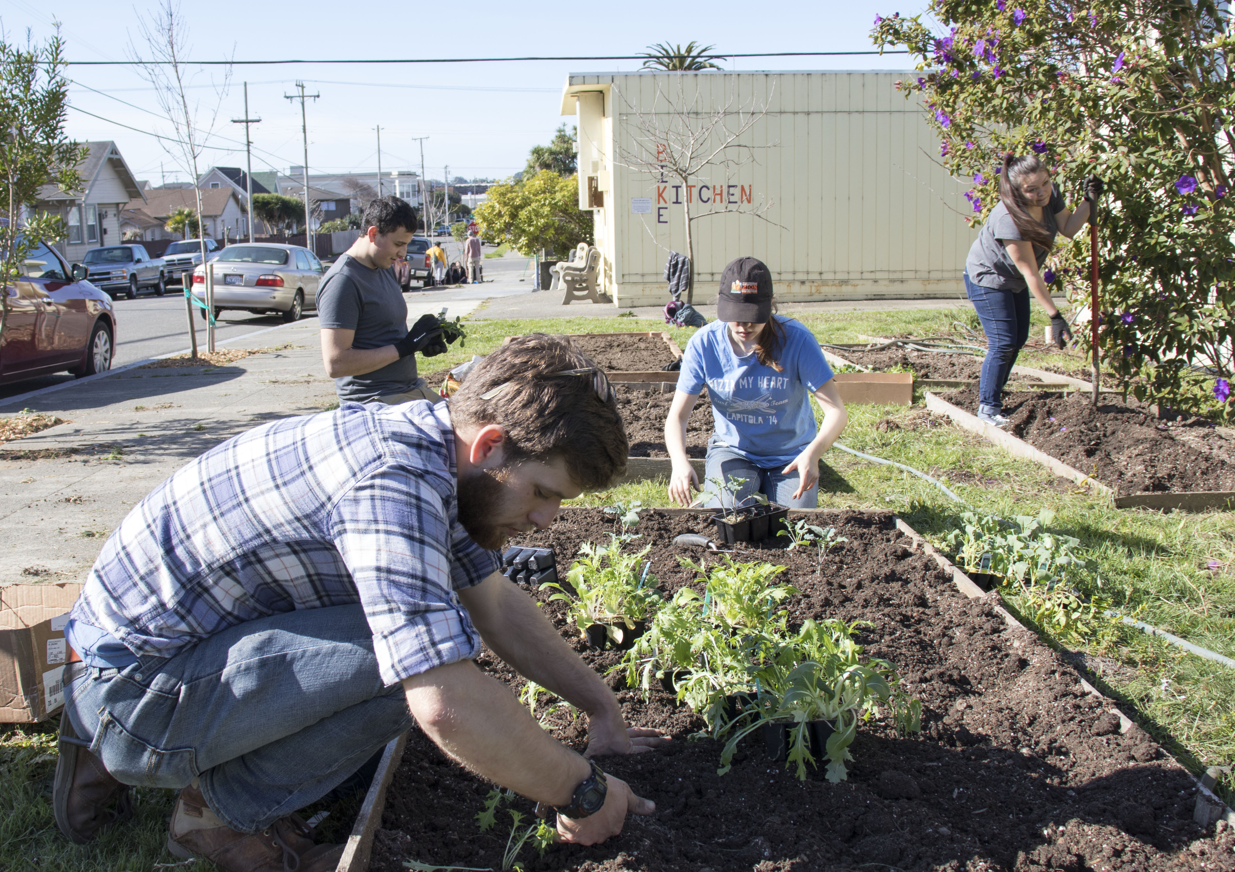Volunteer efforts in Jefferson Community Park