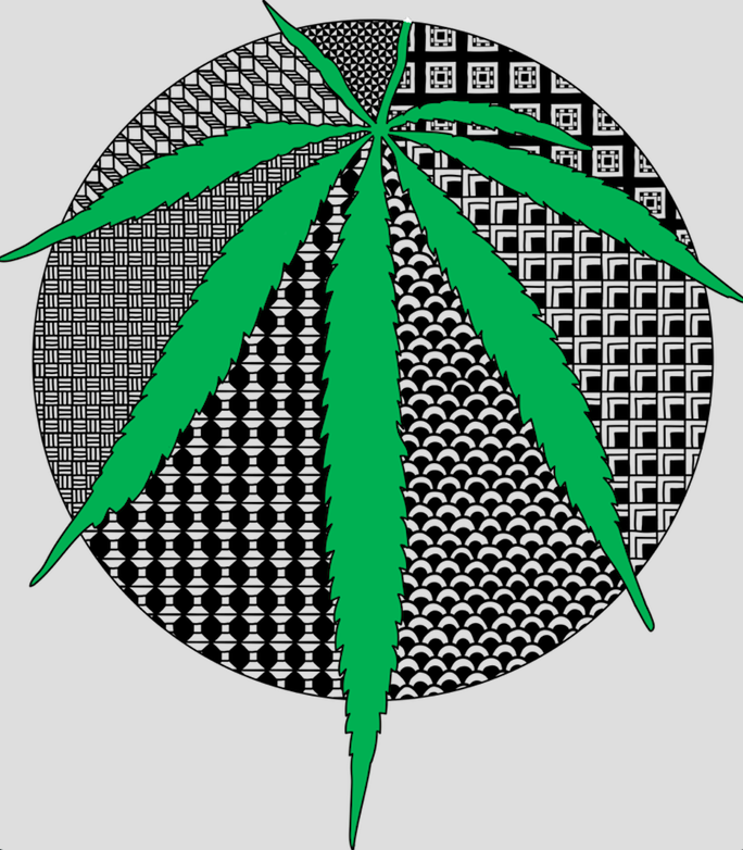 Speaker from Melbourne talks cannabis