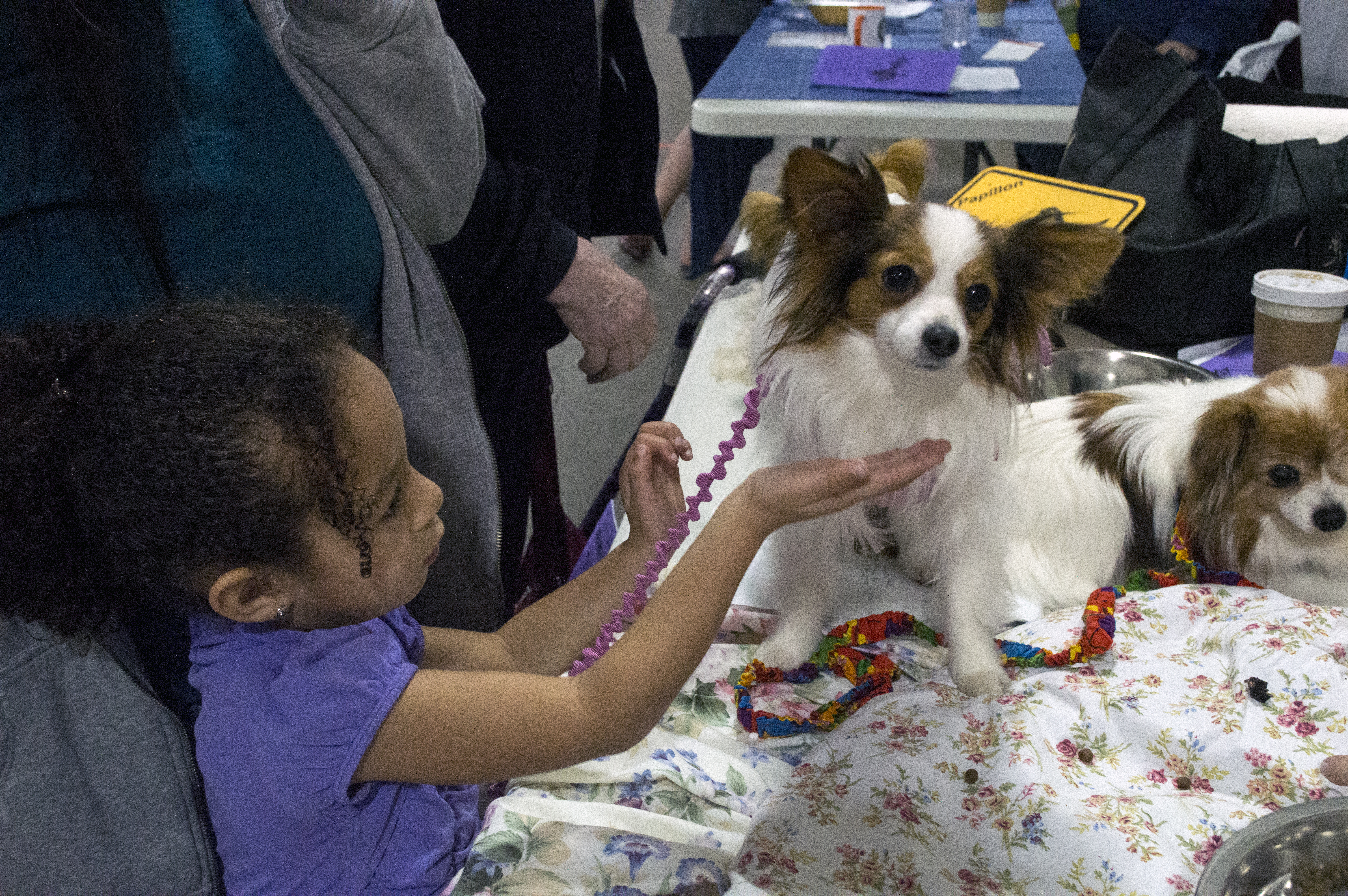 Dog Expo has its day