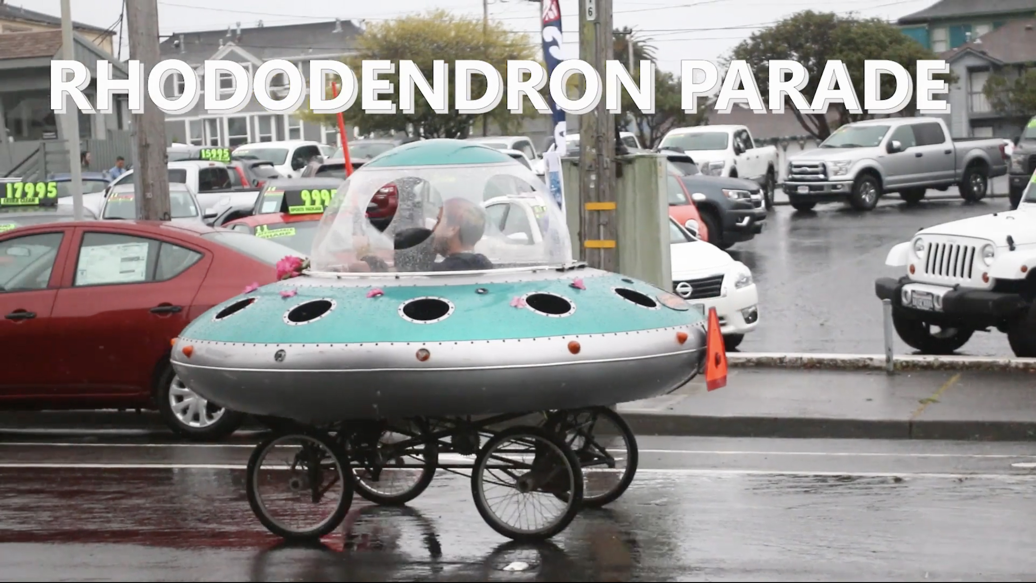 Did you miss the Rhododendron Parade?