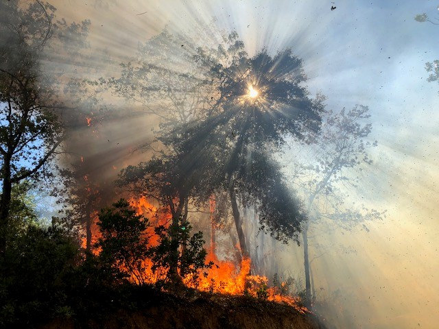 Fires sweep across California
