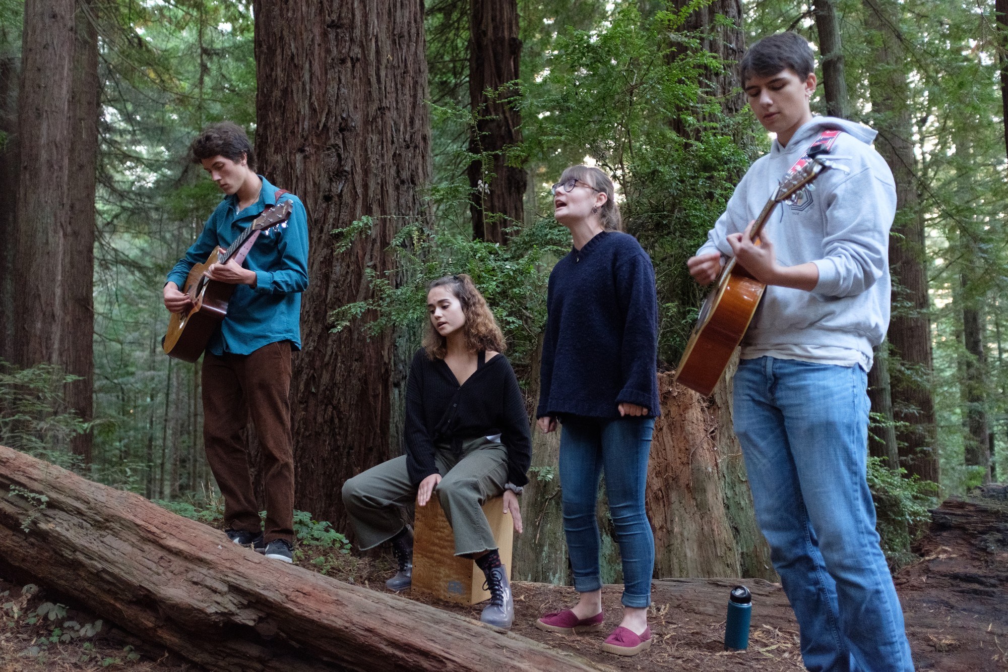 Forest awakens with music