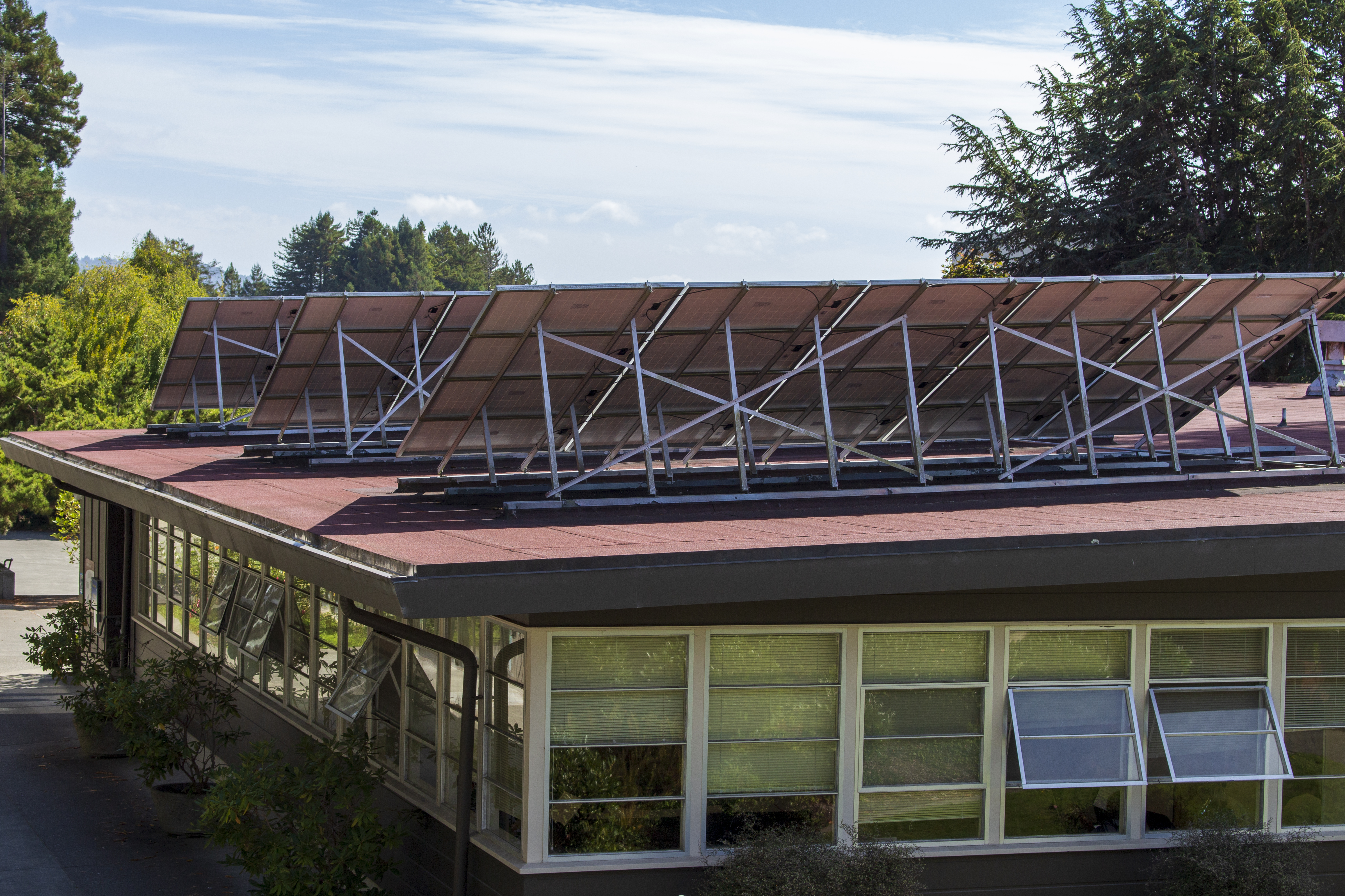 PSPS Events Showcase Reliance on Fossil Fuels