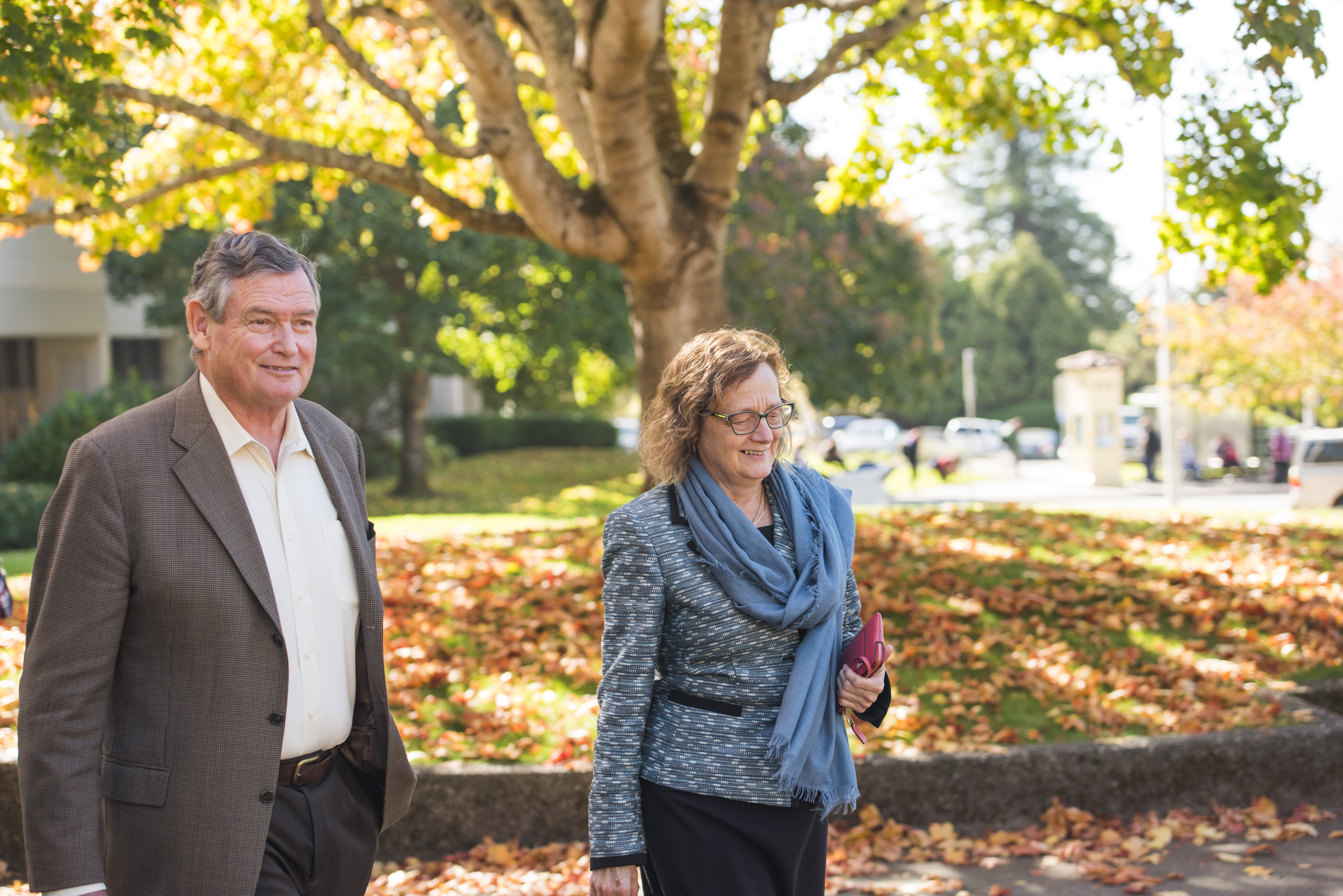 HSU president search update