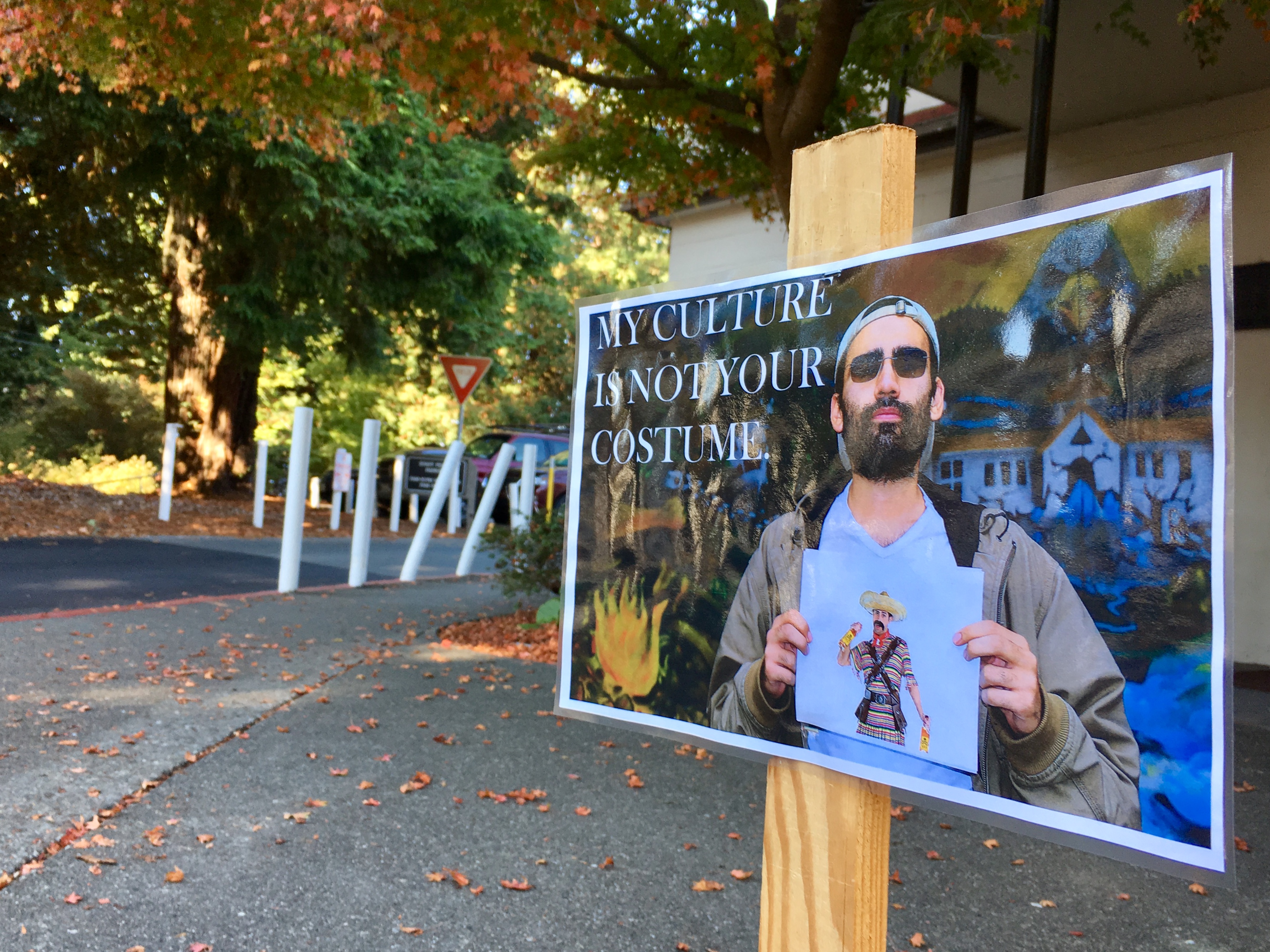 Commercial Costumes Can Be Problematic