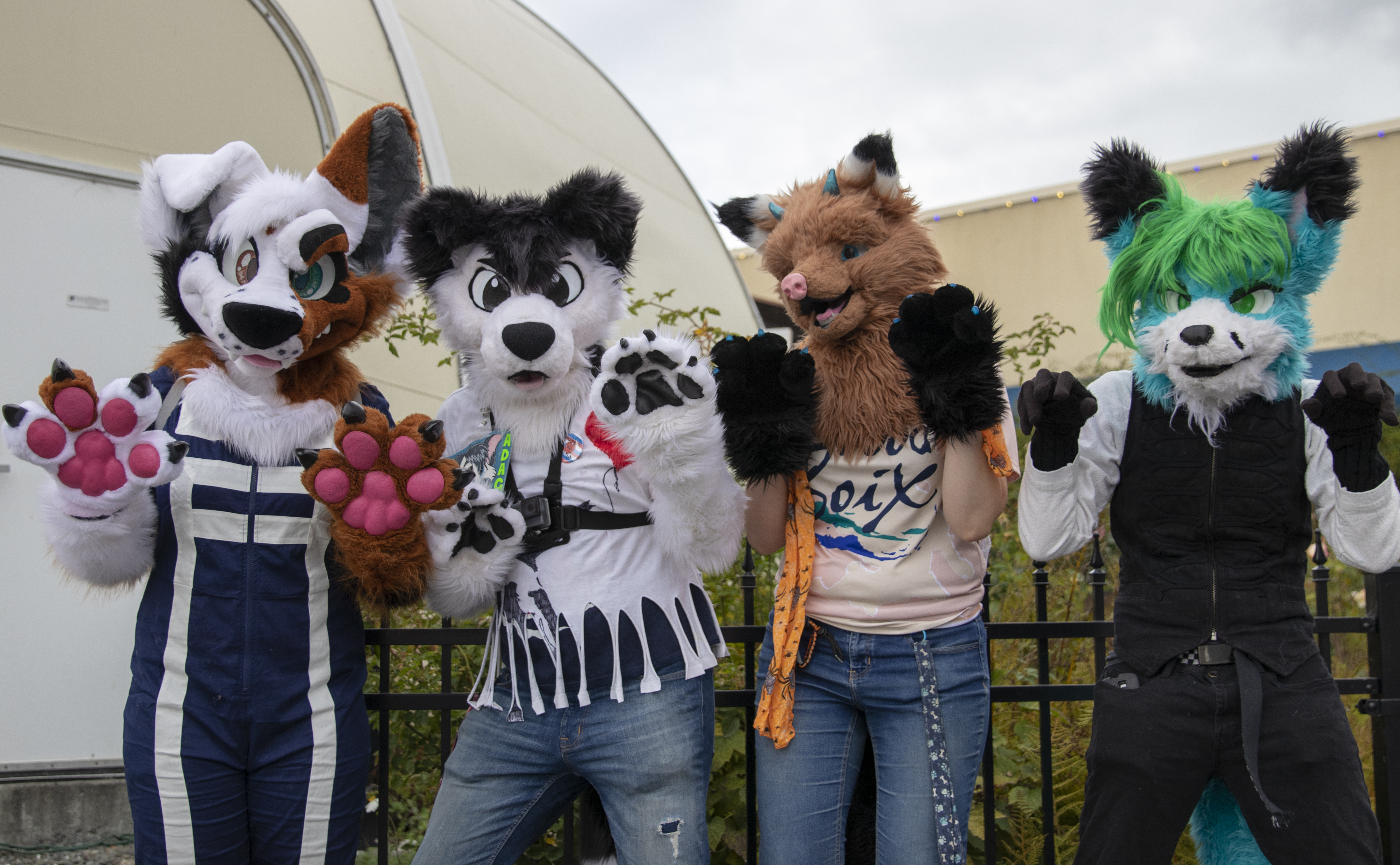 Calling all cosplayers