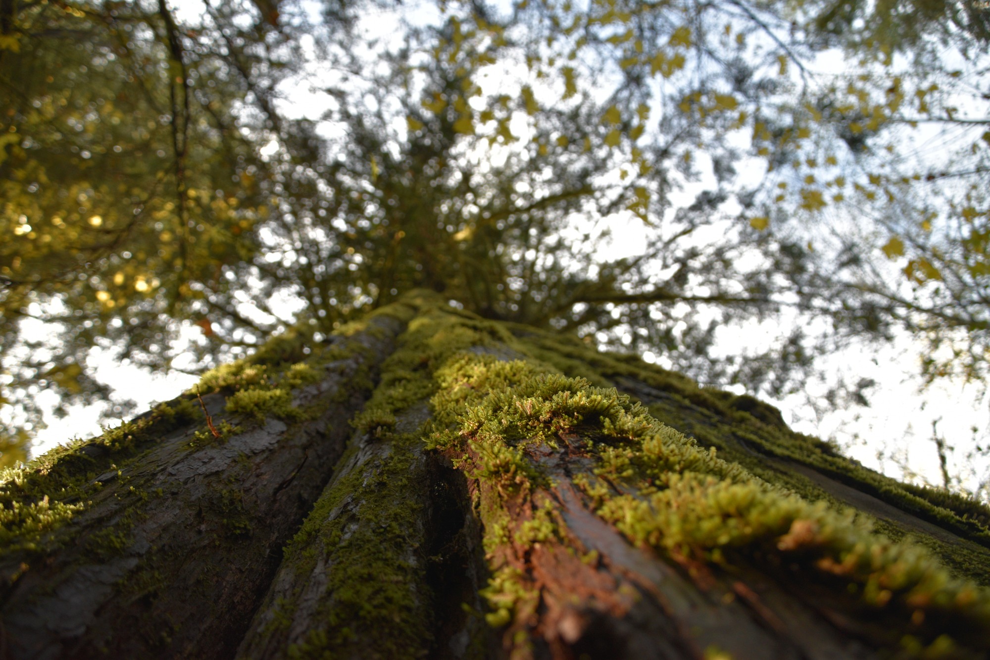 884 acres of opportunity