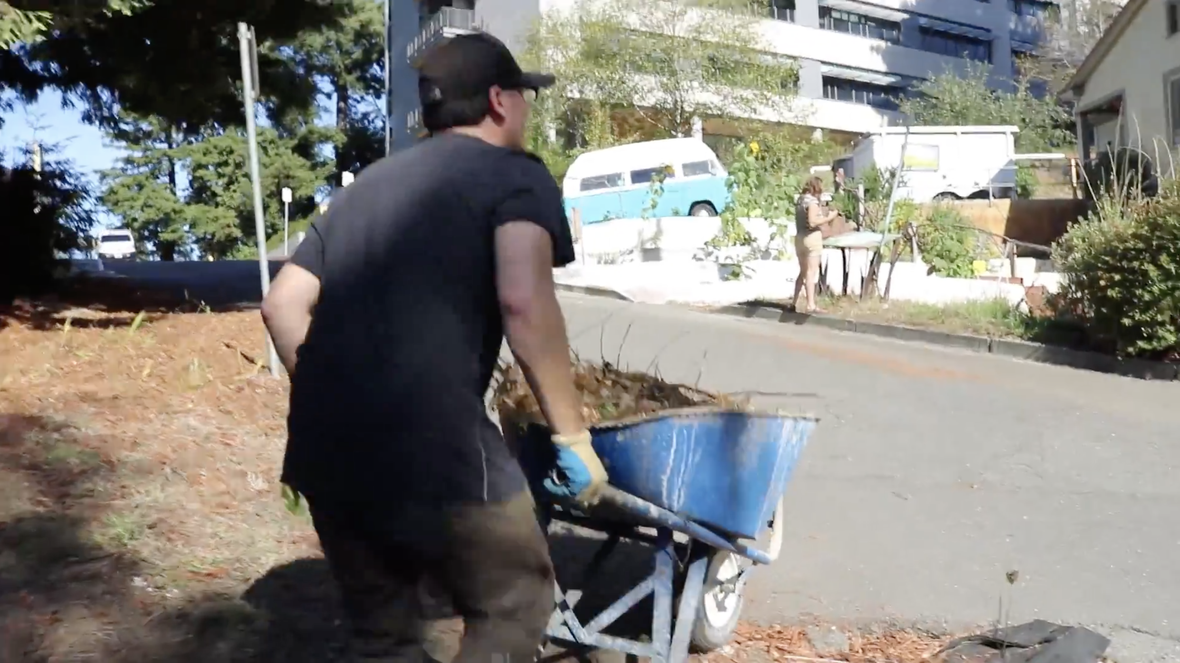 CCAT Volunteer Fridays