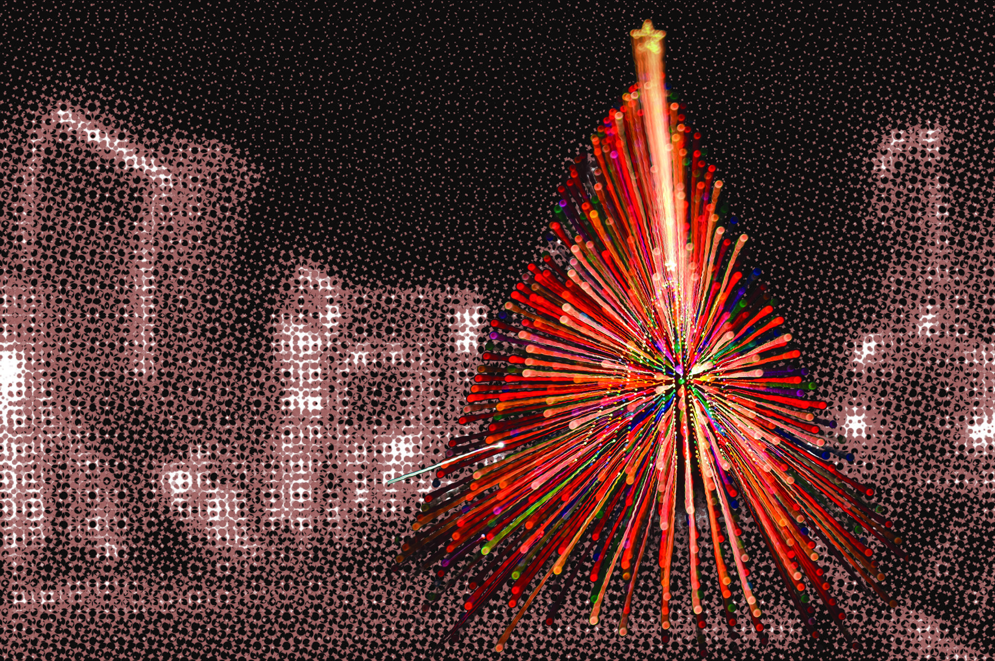 America’s tallest living Christmas tree continues to shine bright