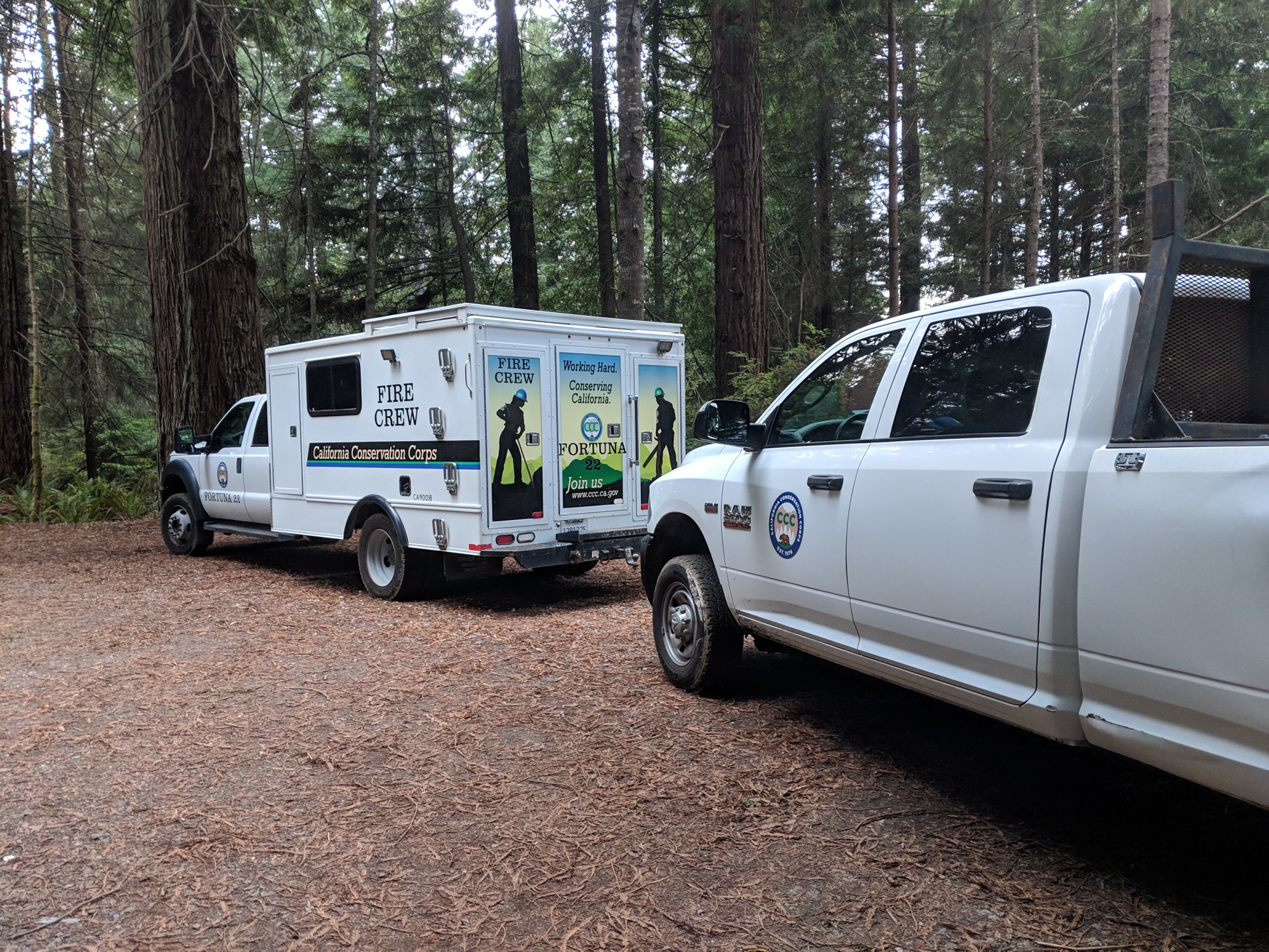 City destroys legacy bike trails