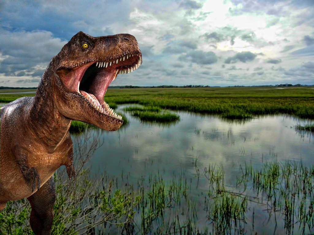 Studying dinosaurs is dino-mite