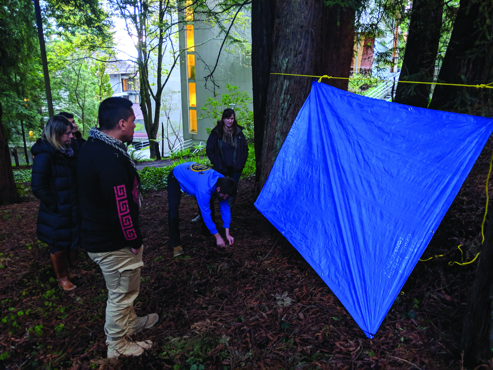 Surviving a zombie apocalypse 101