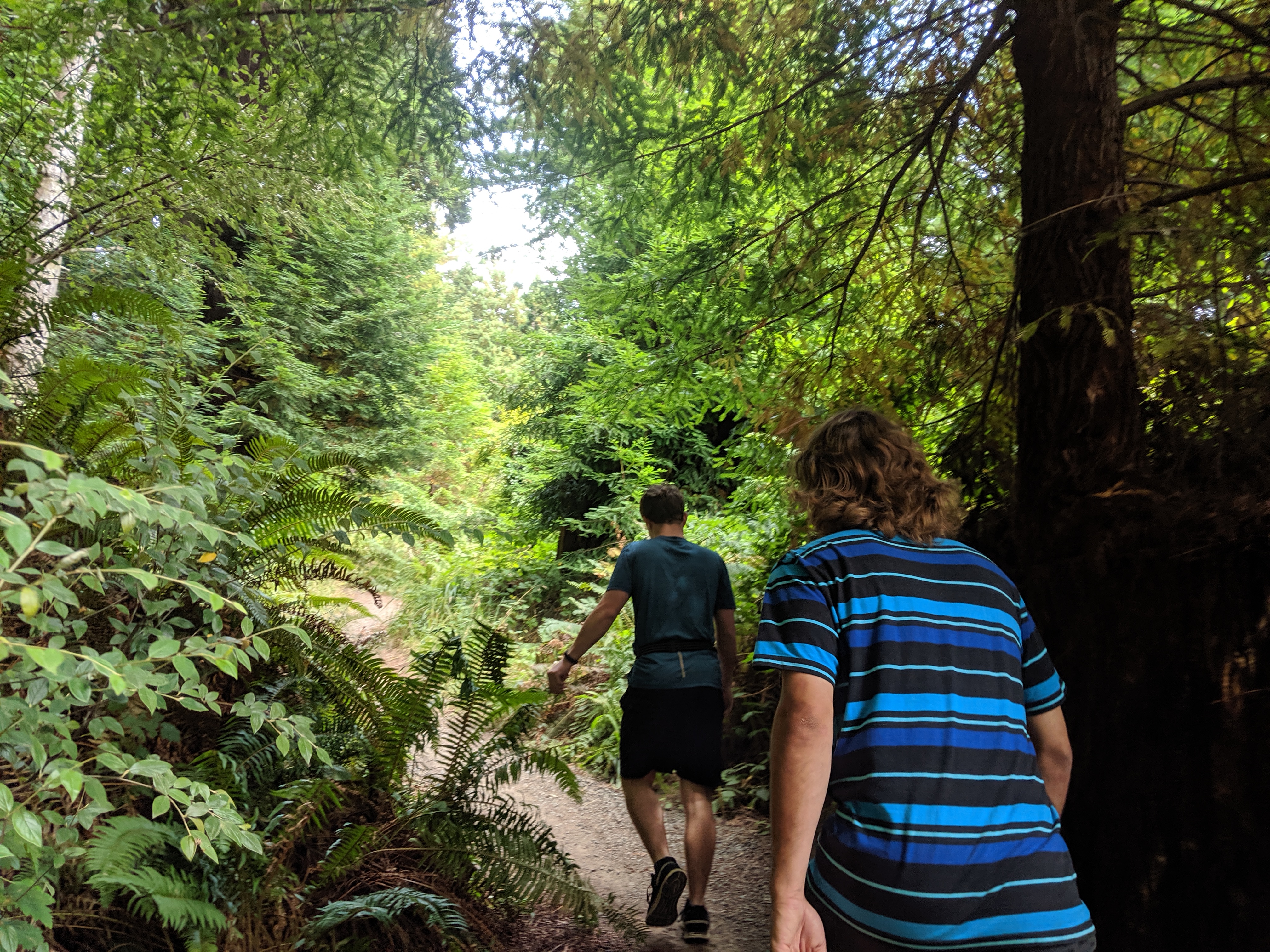 #ExploreHumboldt: The Arcata Community Forest
