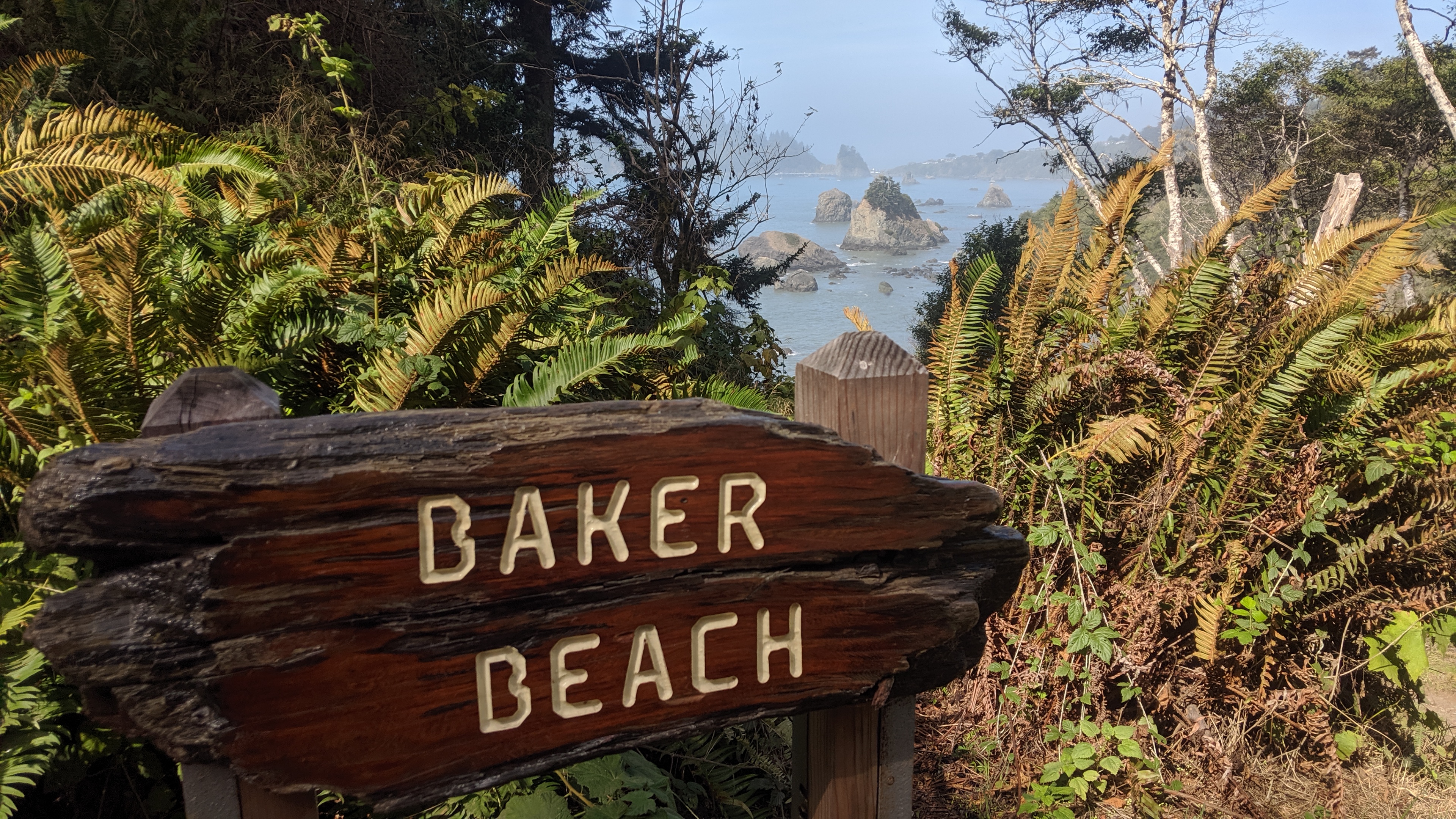 #ExploreHumboldt: Hammond Trail and the North Coast