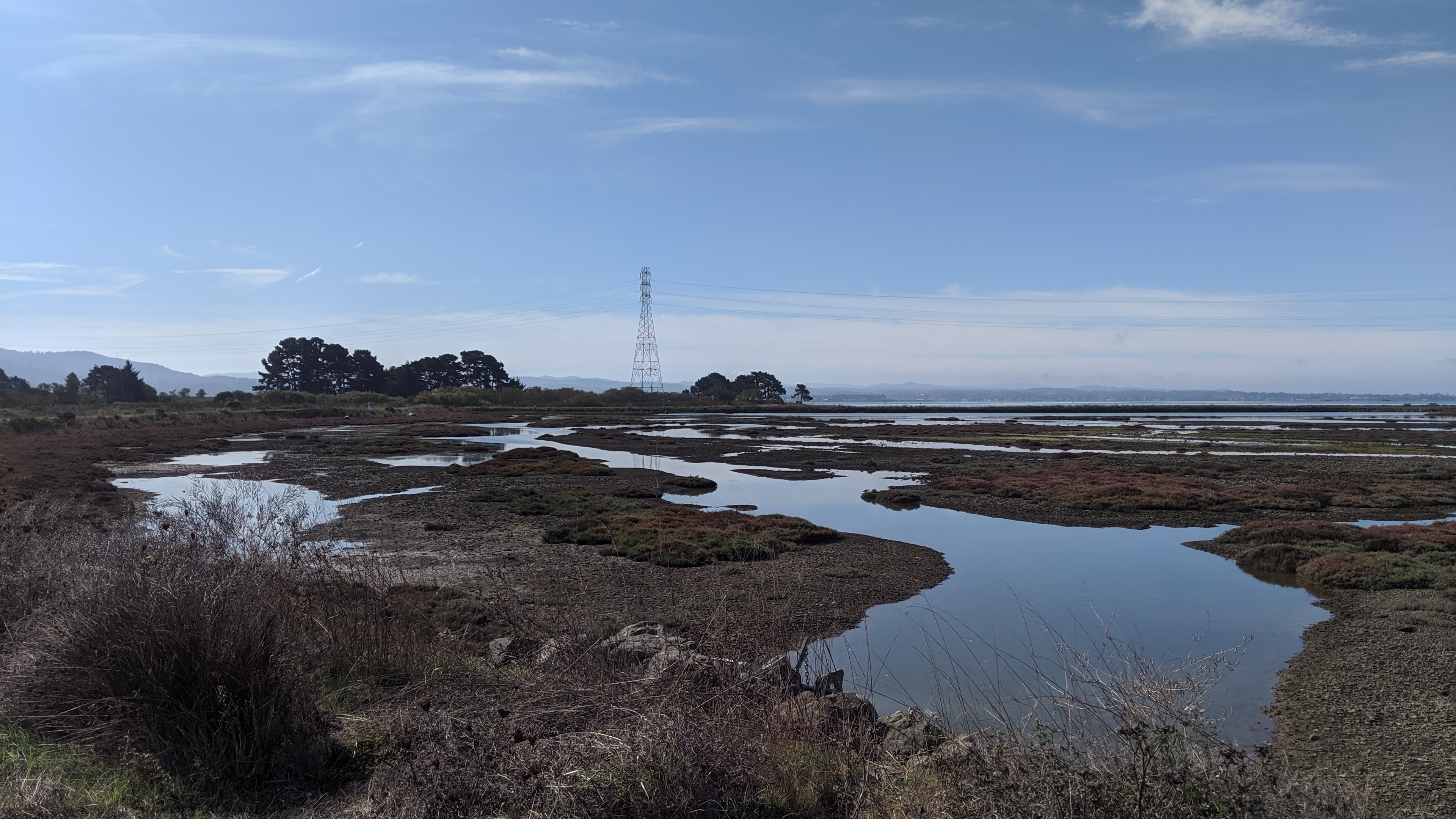 #ExploreHumboldt: Arcata Marsh