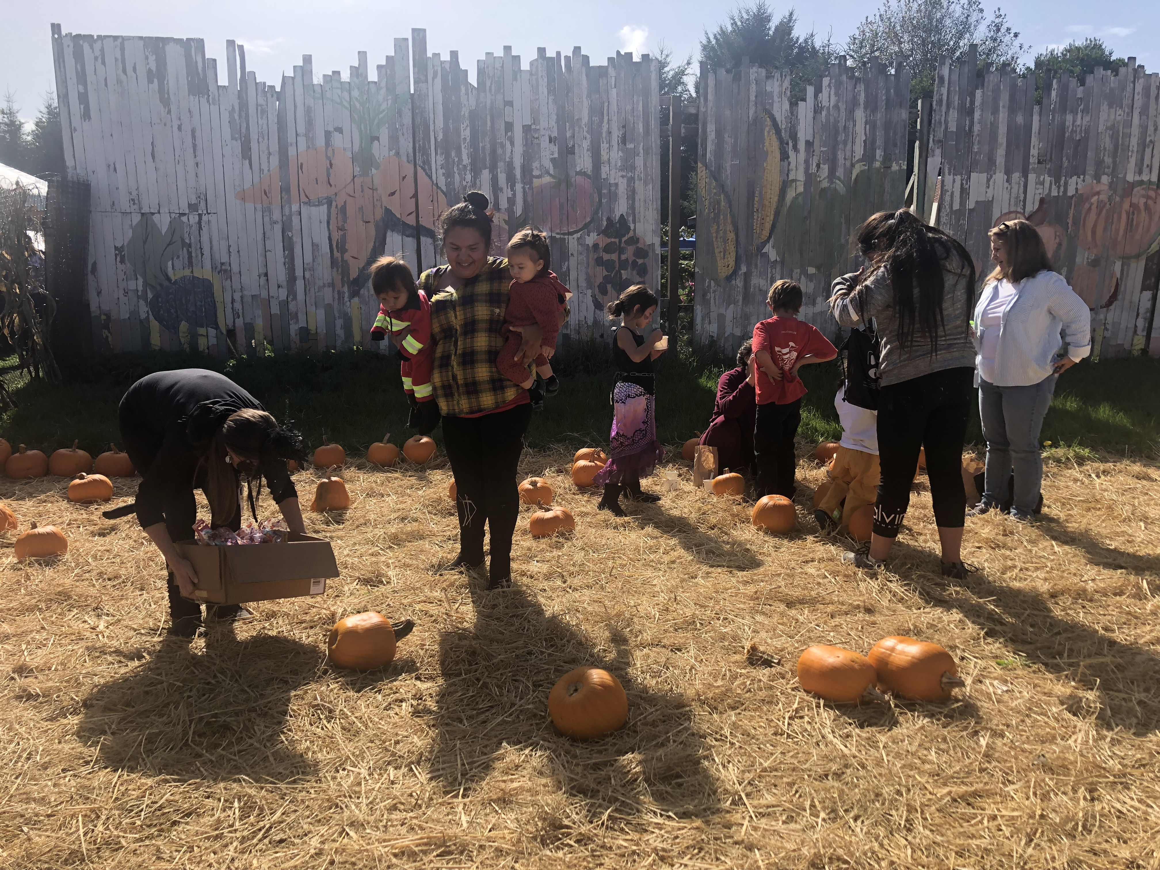 Culture Connects with Nature and Wellbeing