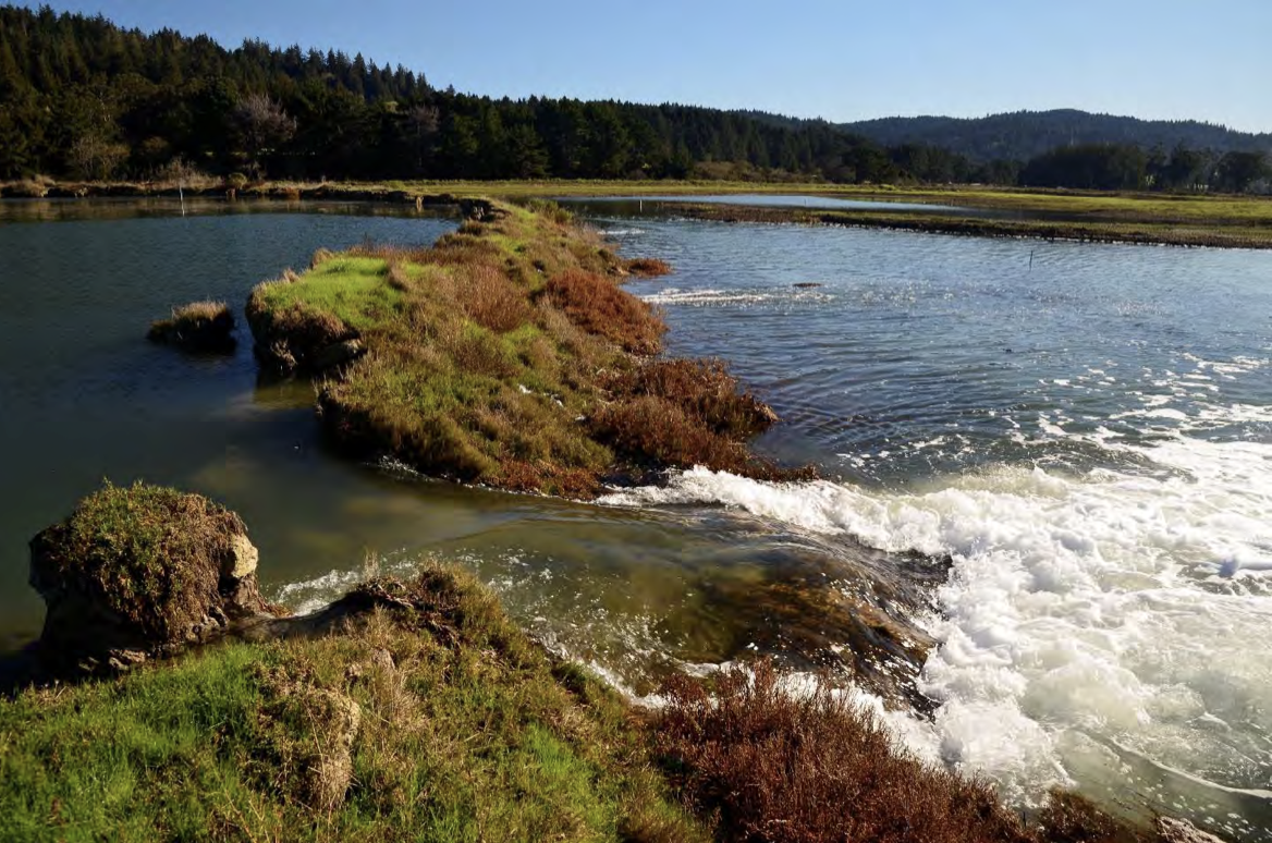 Sea Level Raises Risks in Humboldt Bay