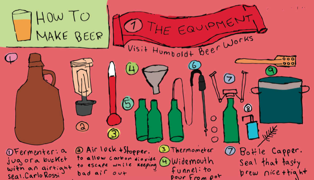 Science Behind Brewing Beer