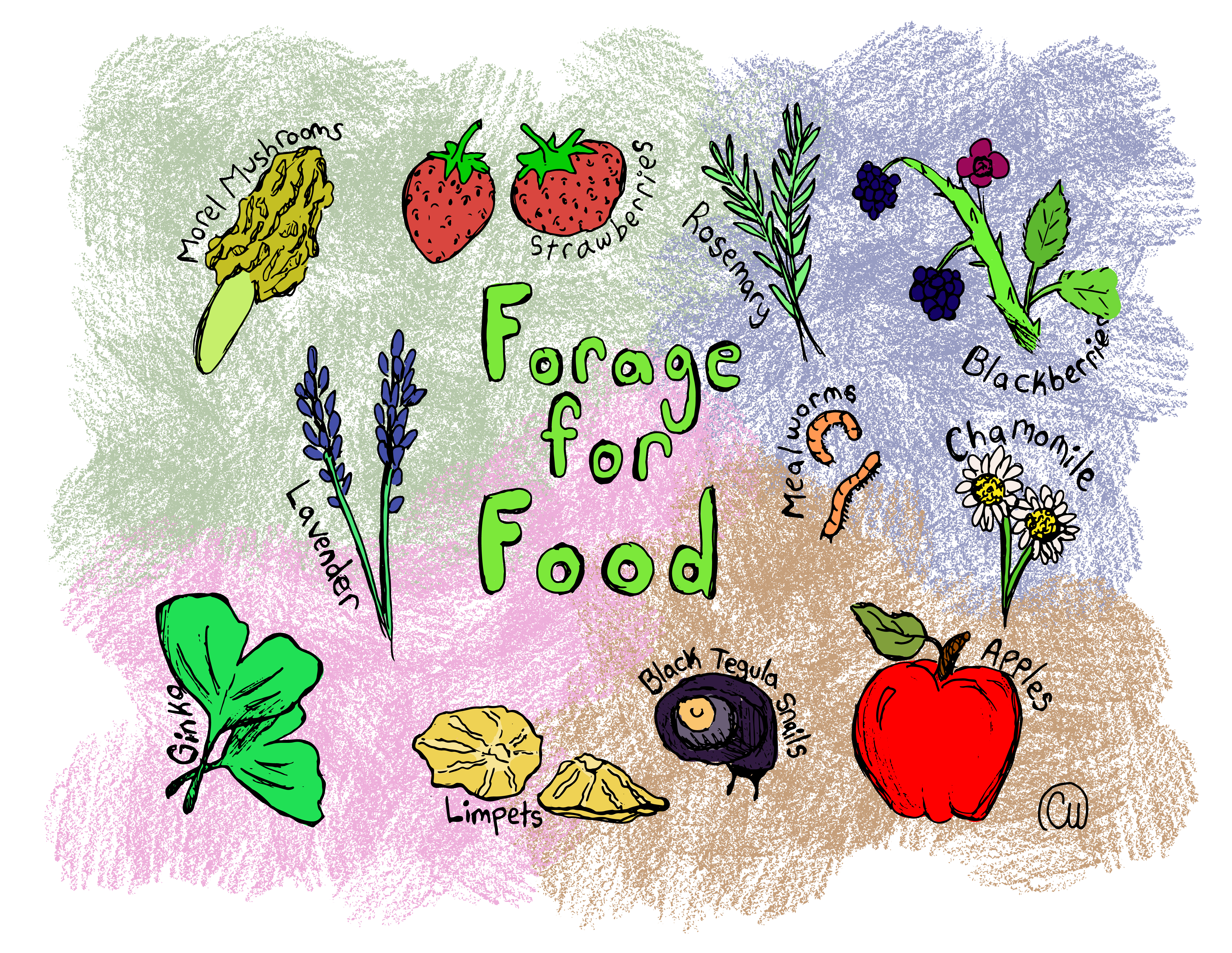 Explore Nature Through Your Tastebuds