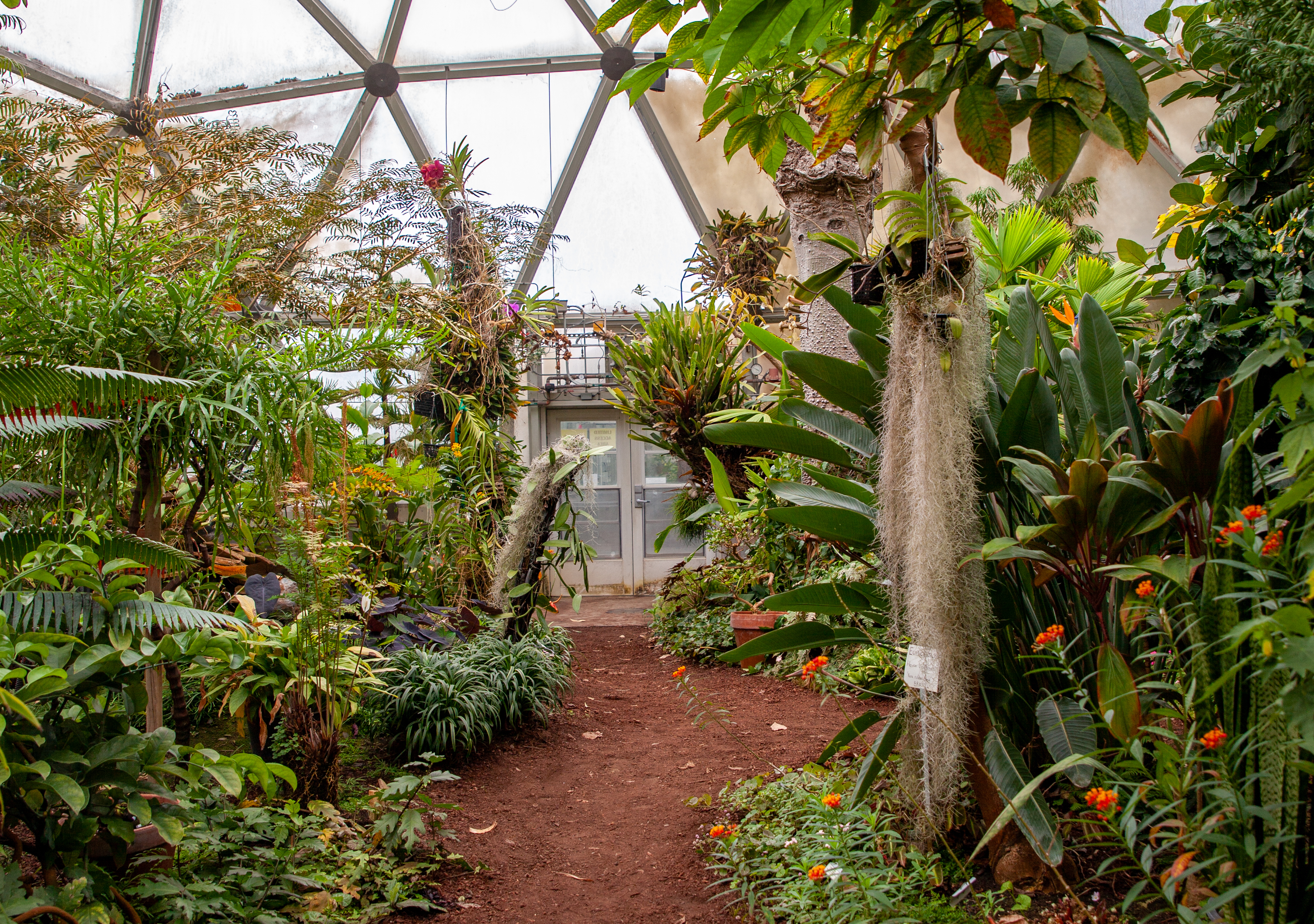Green Thumbs at the Greenhouse