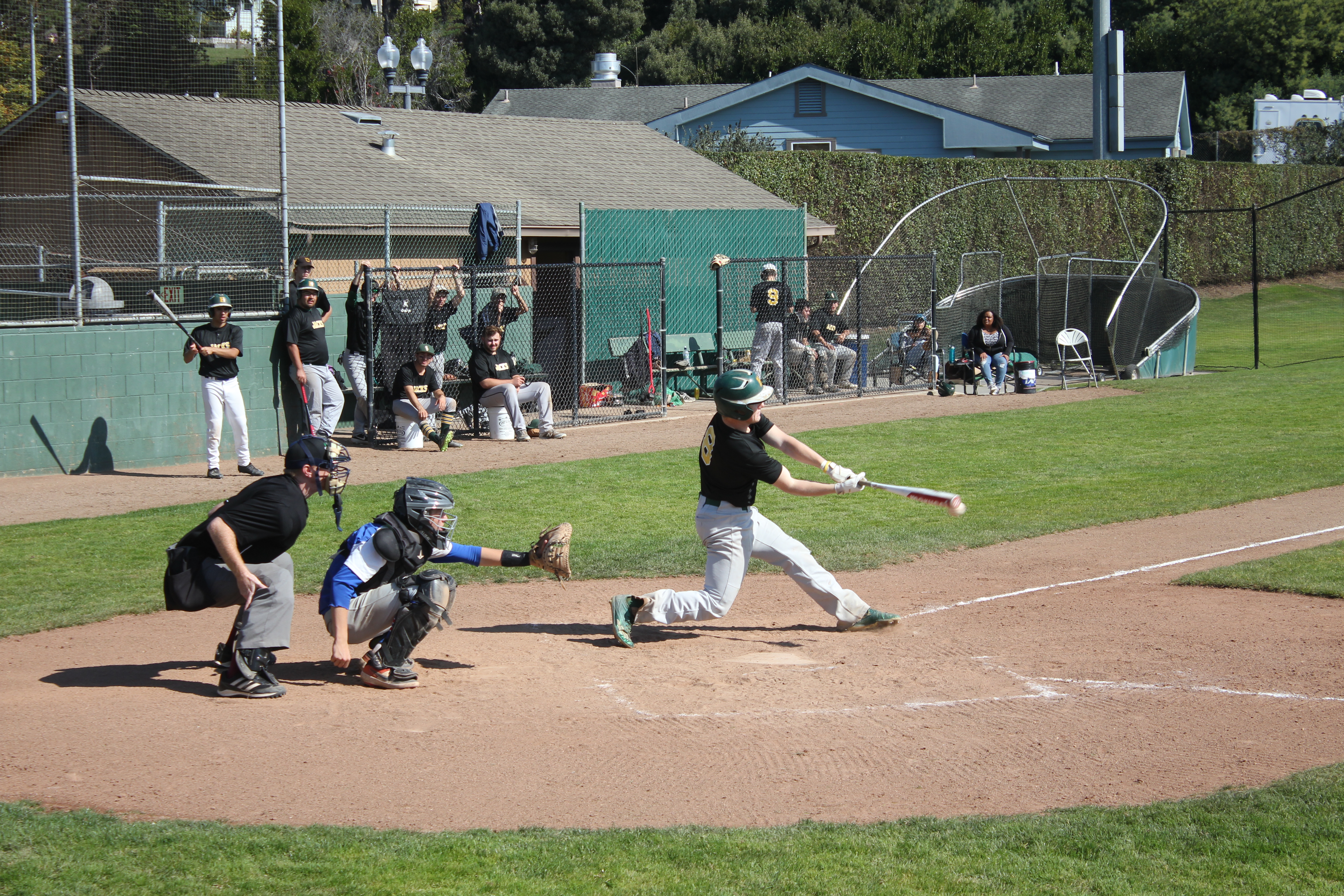 A Baseball Team Would be a Home Run