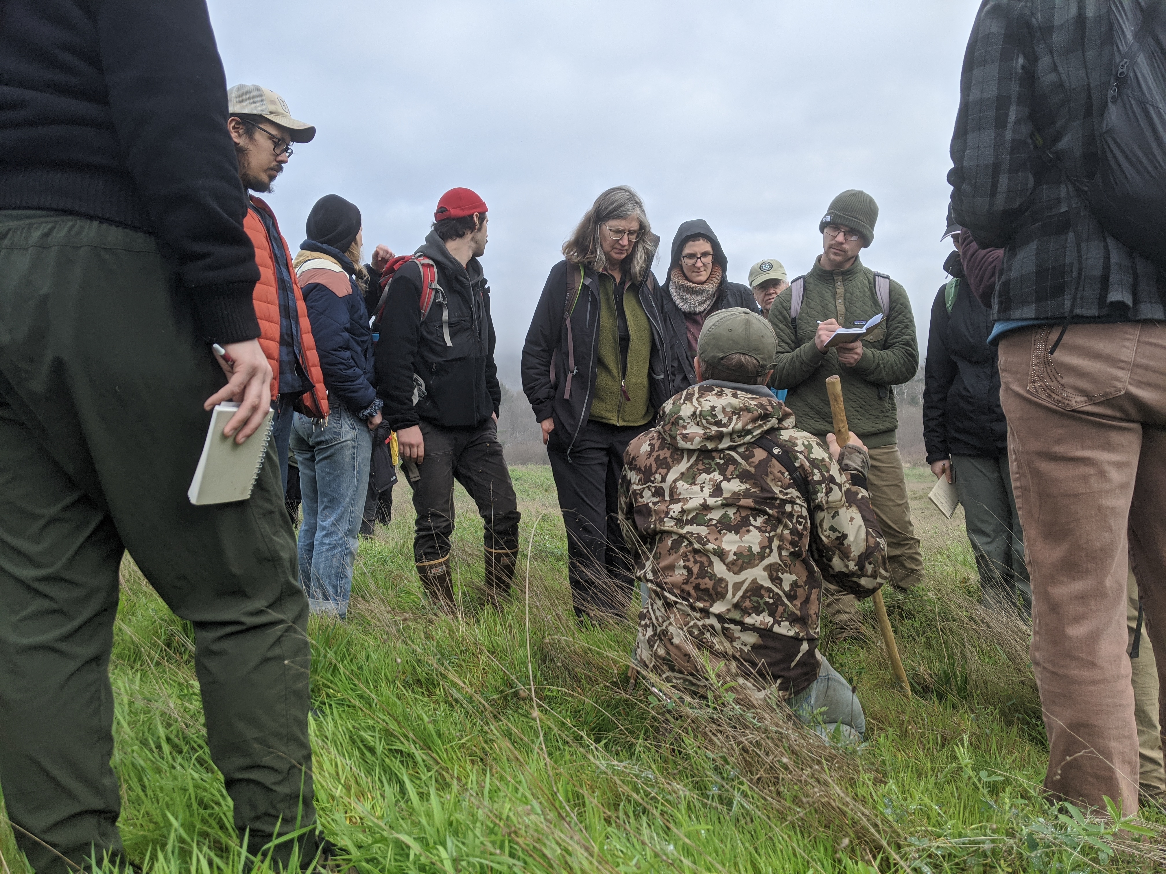 Walking and Wildlife Tracking