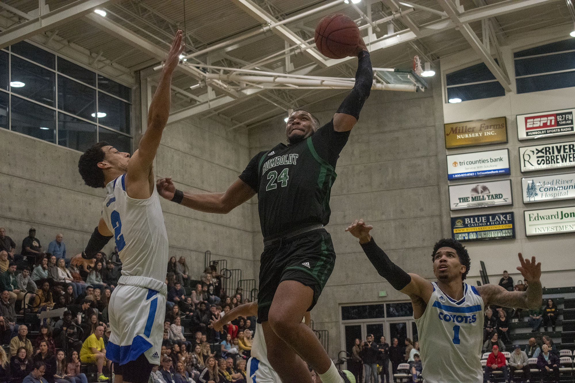 Jacks Fall to Second in Conference Coyotes