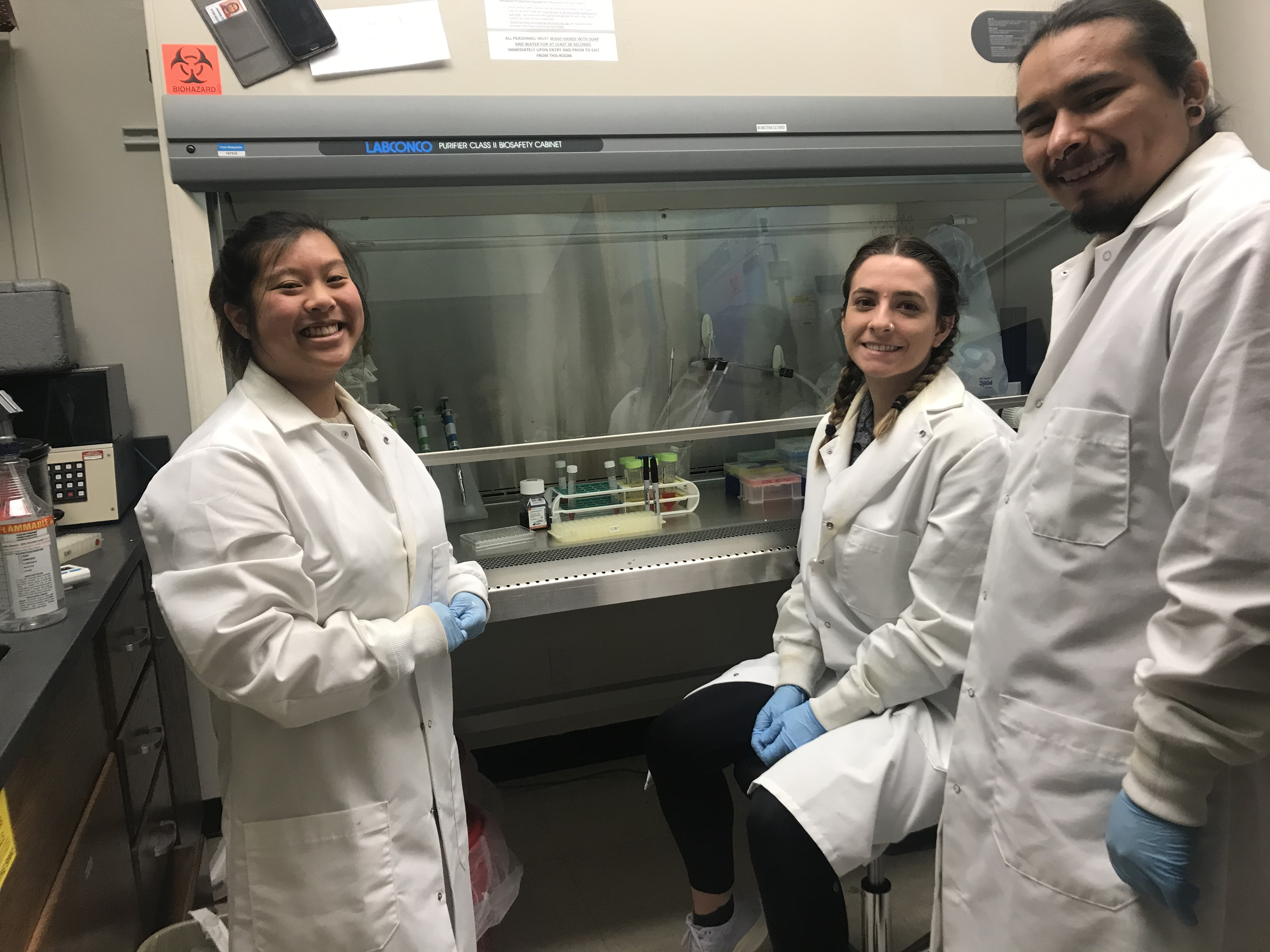 Chopping Genes and Growing Brains