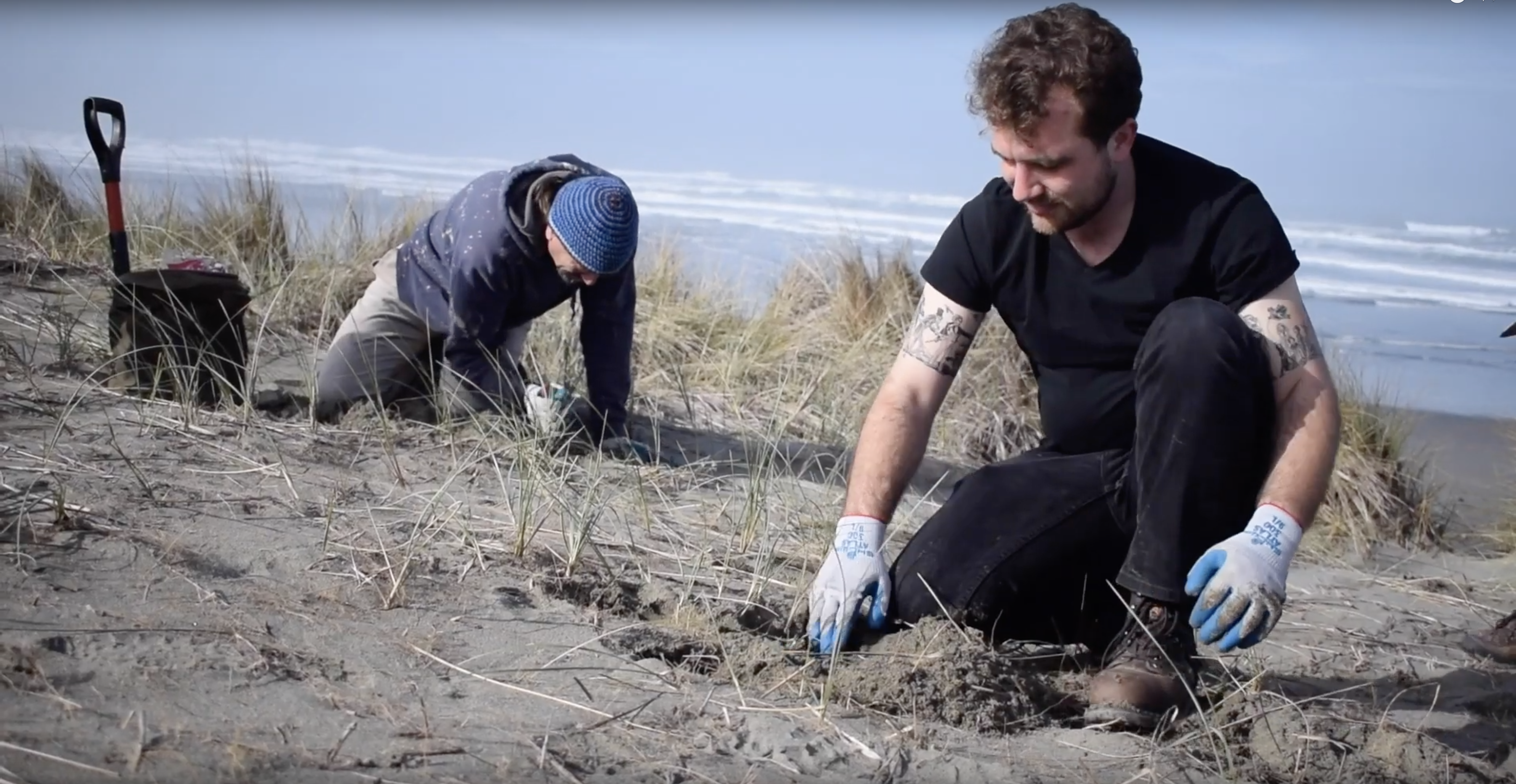 Digging in the Dunes
