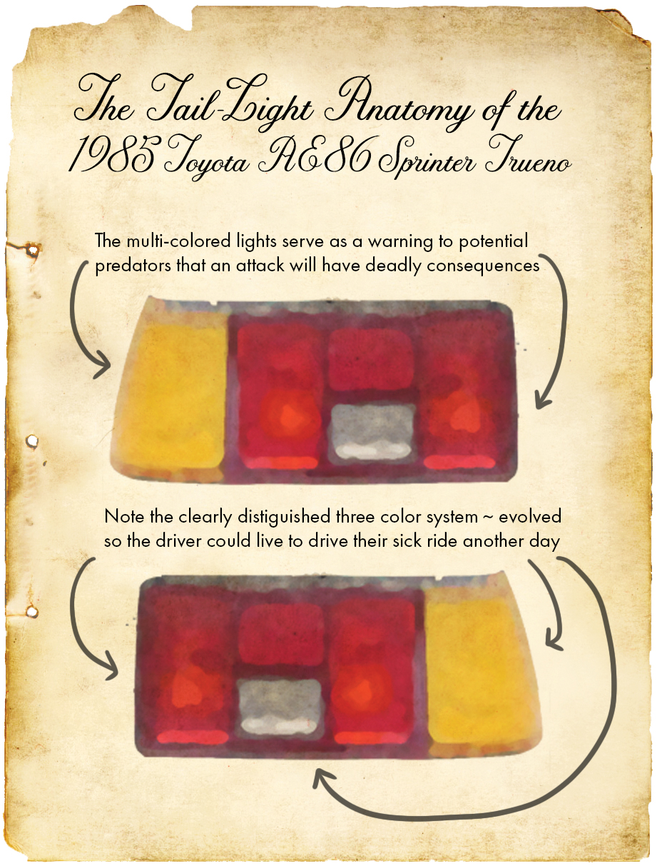 The Light at the End of the Speeding Metal Death-Box