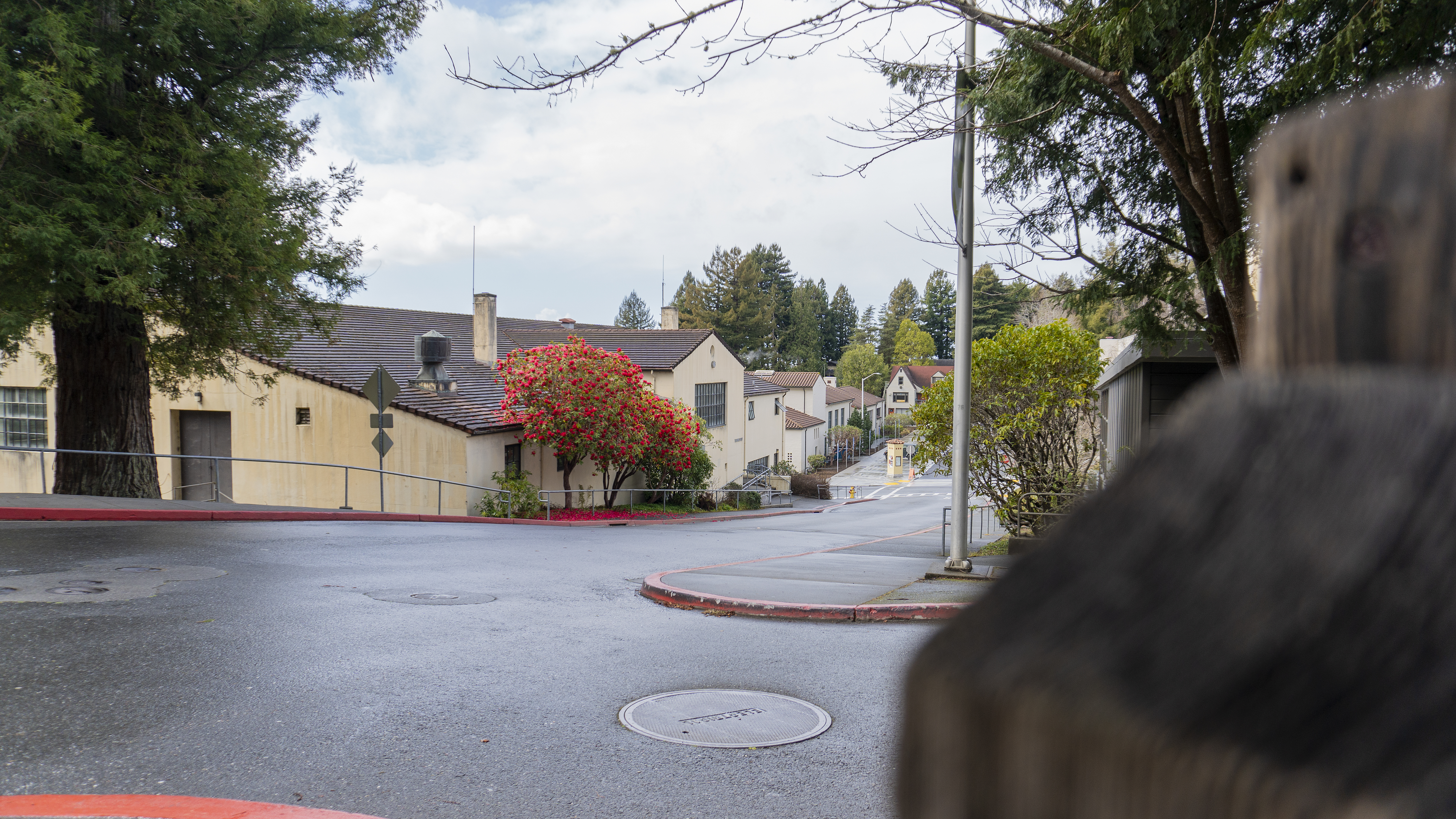 California Universities Update Travel Suspension