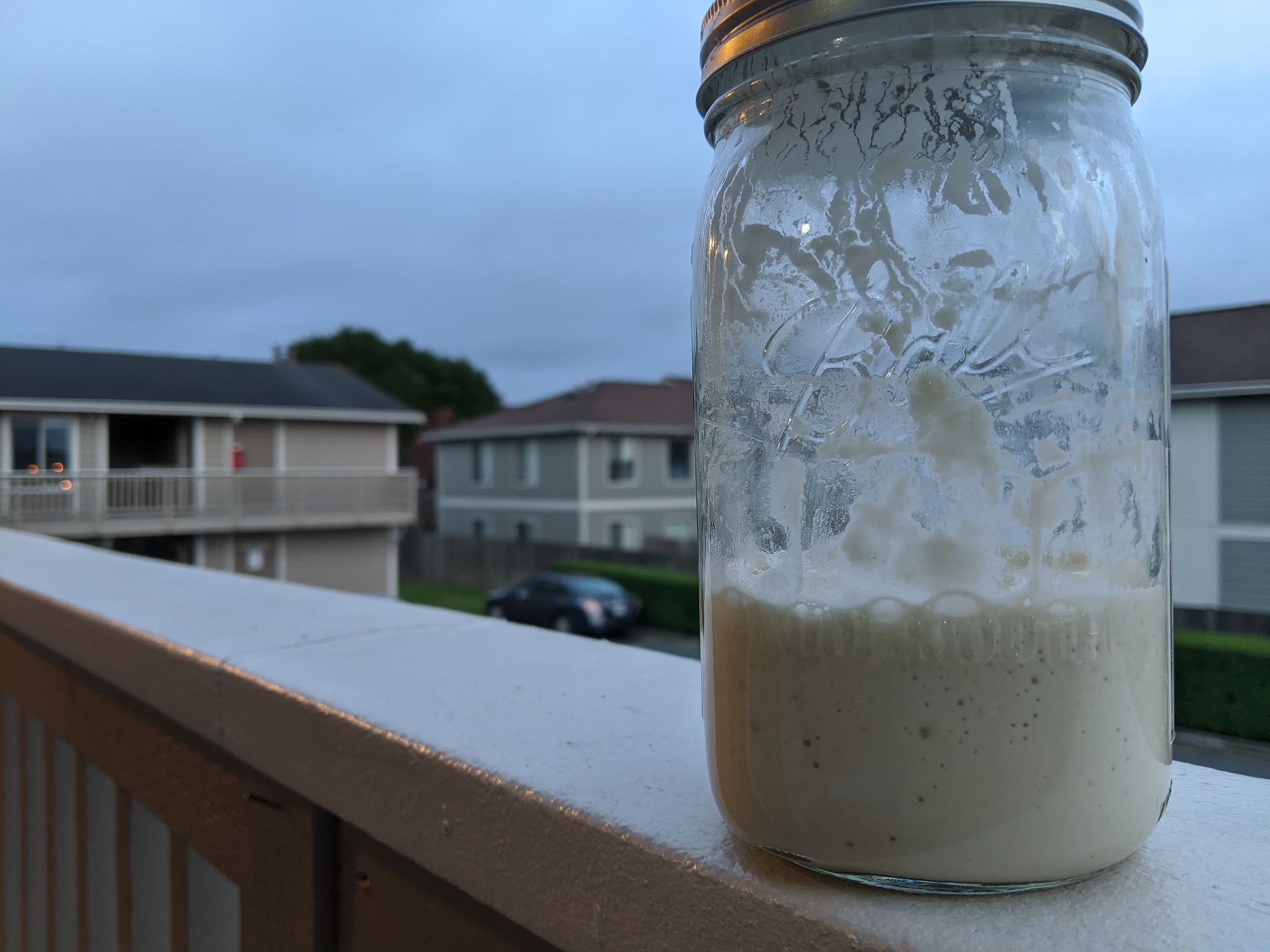 Staff Recipe: True Sourdough Starter