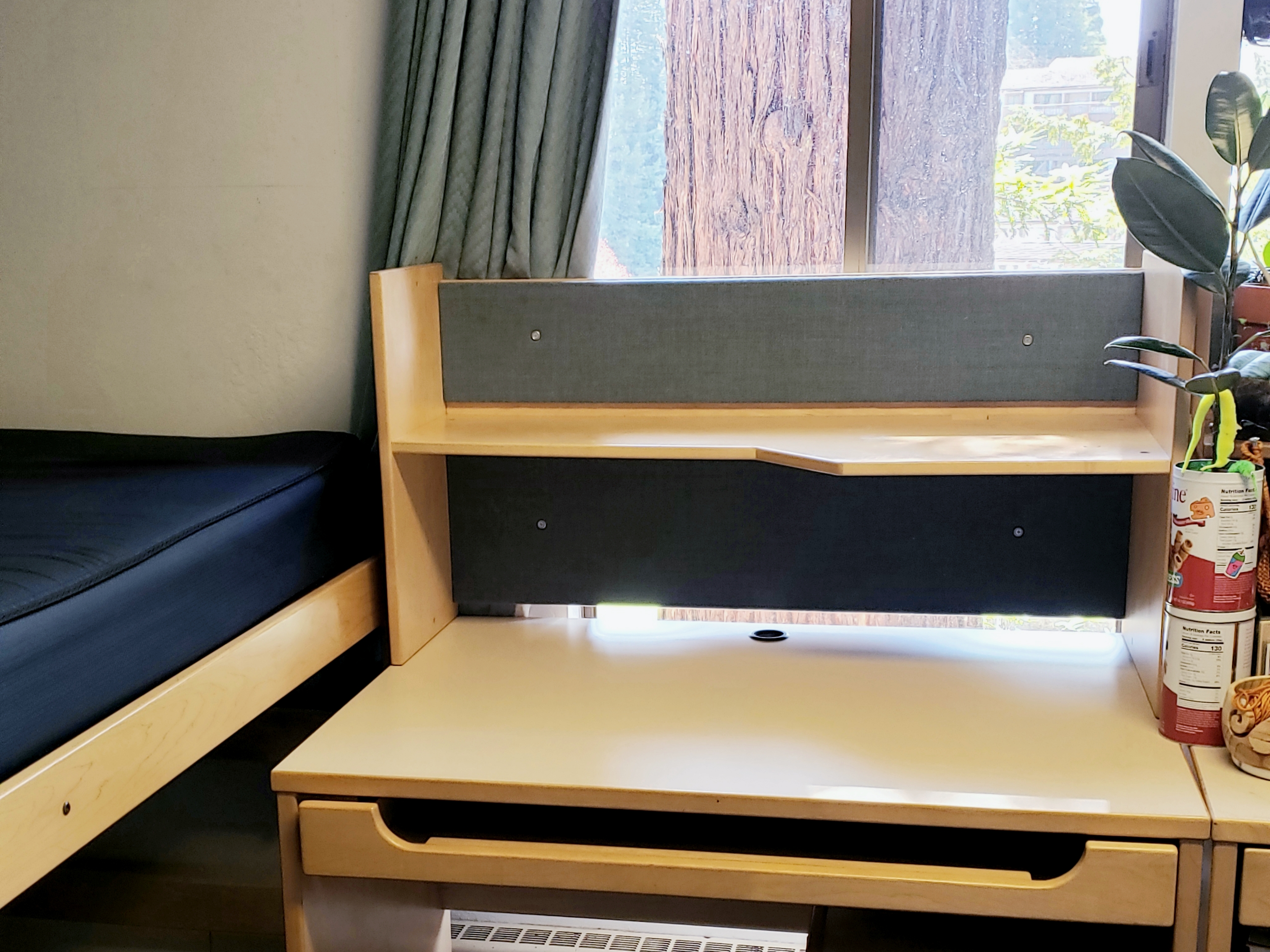 What It’s Like Living On Campus After the Exodus