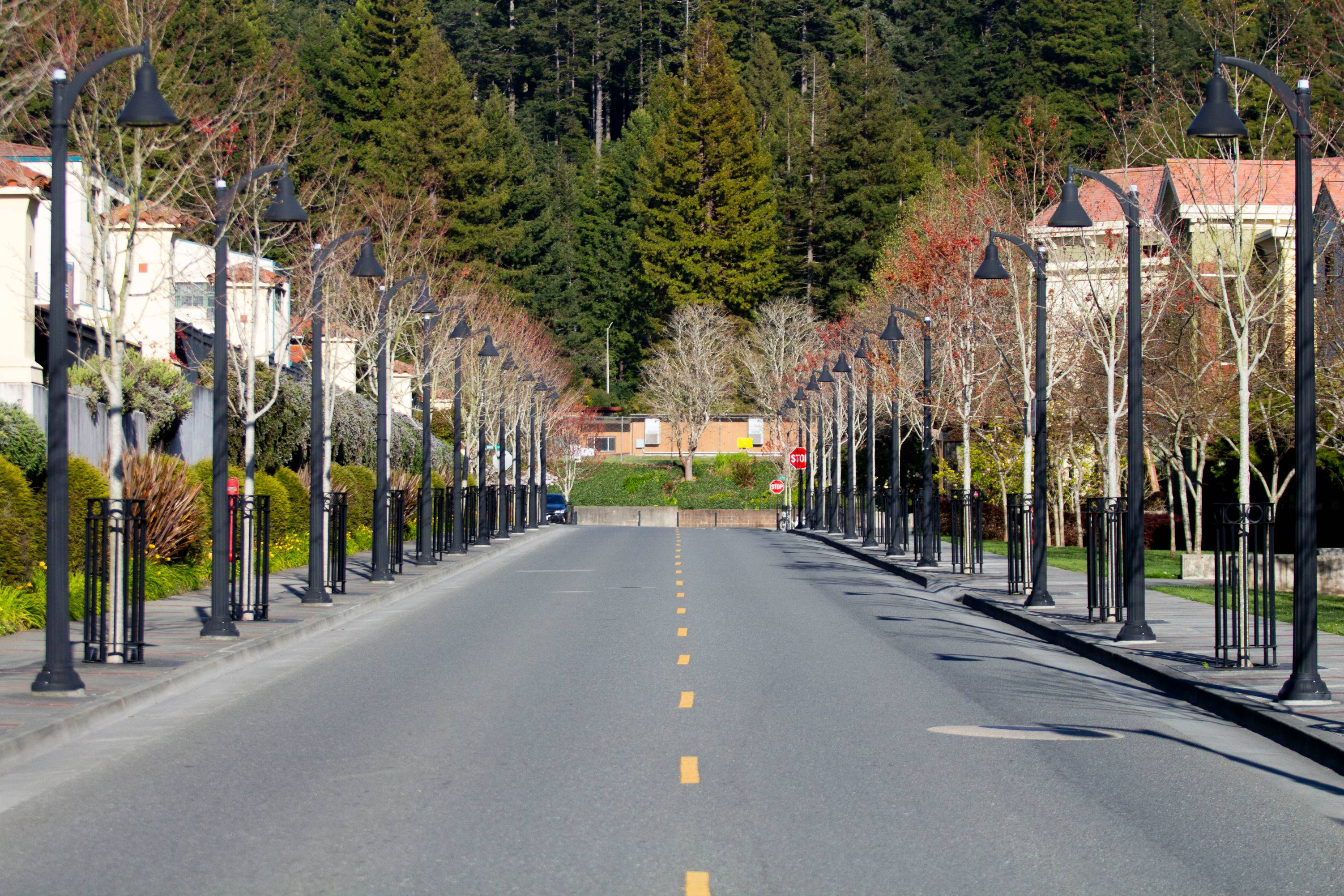 COVID-19 Cancels Fall 2020 Face-to-Face Instruction