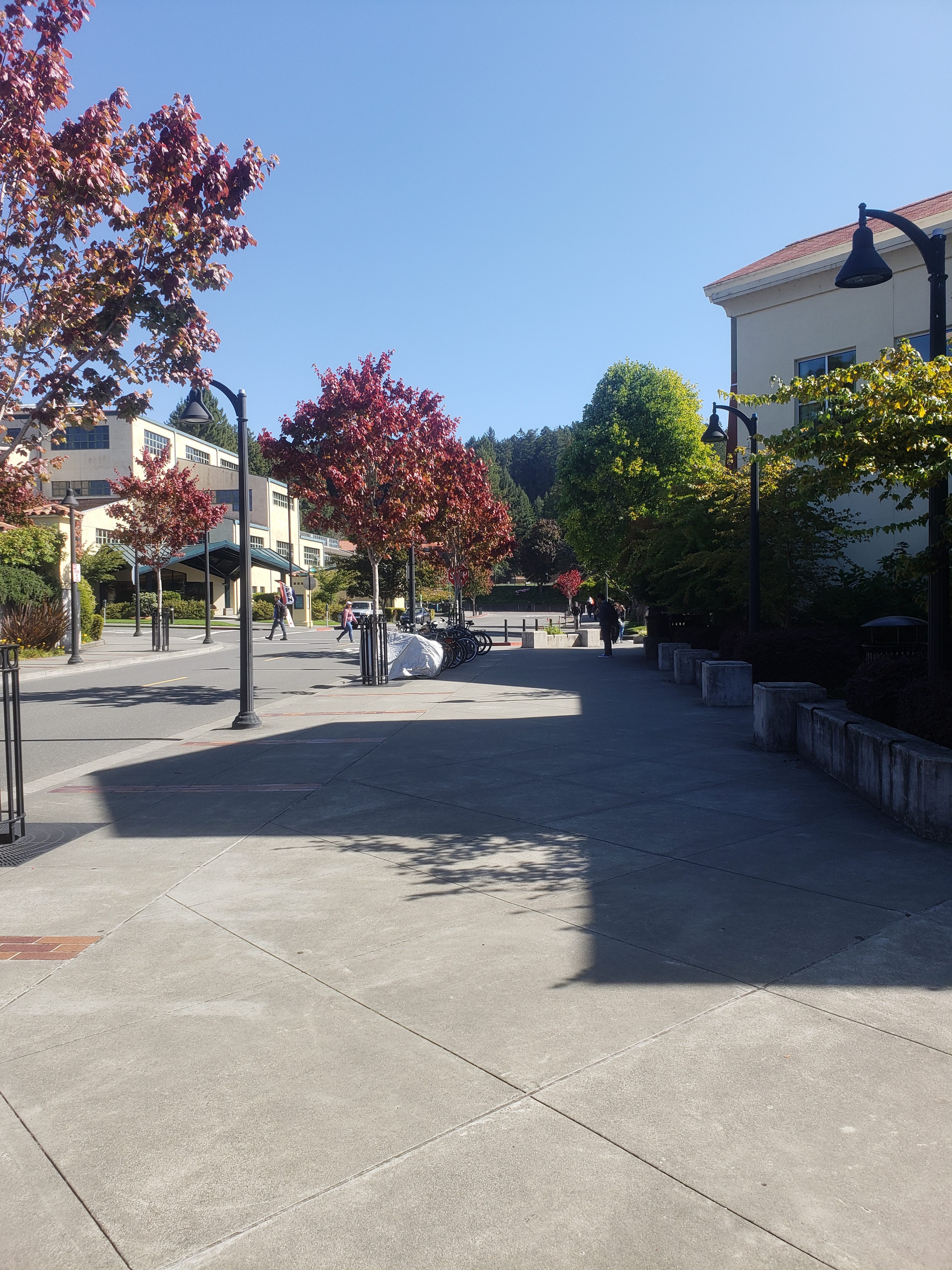 Humboldt State’s Hybrid Instruction Request Approved for Fall Semester