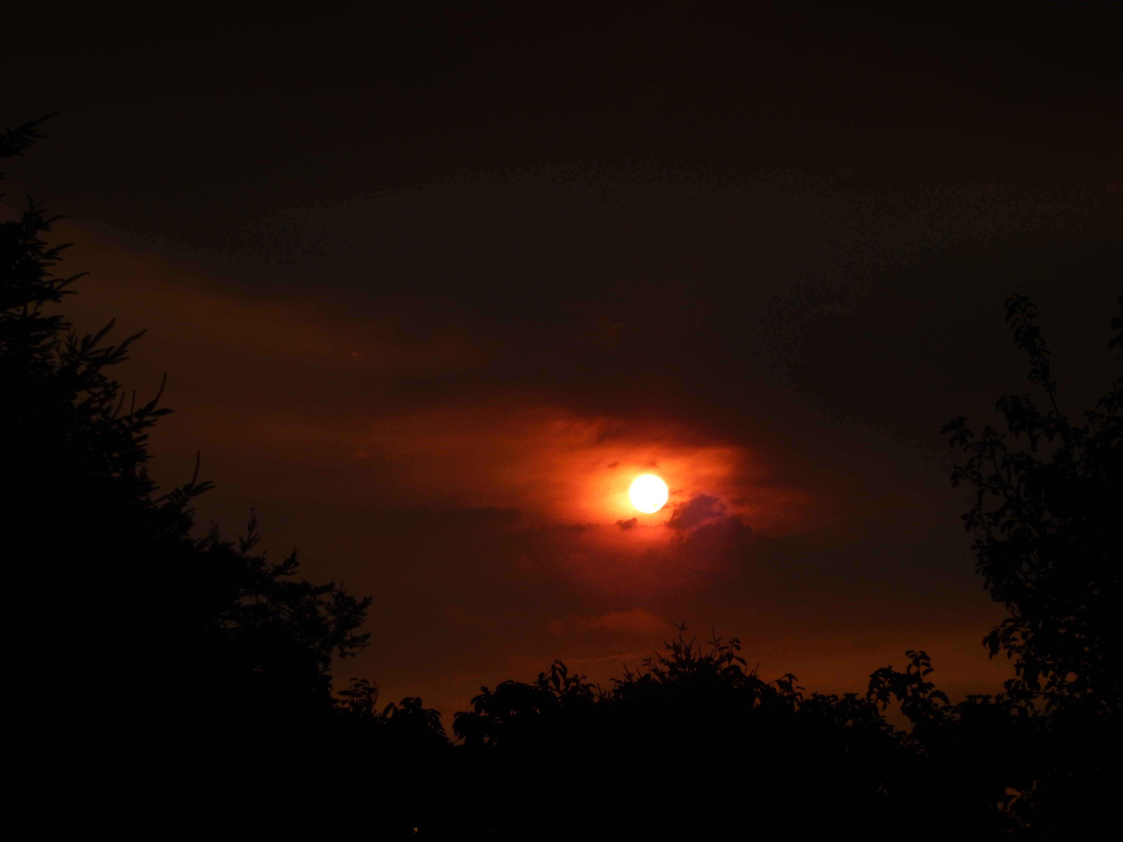 The Complex Interface of Humans and Wildfires